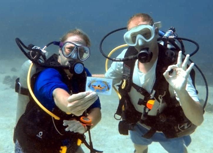 Hotel La casa mono cuco Hostel - Image 1