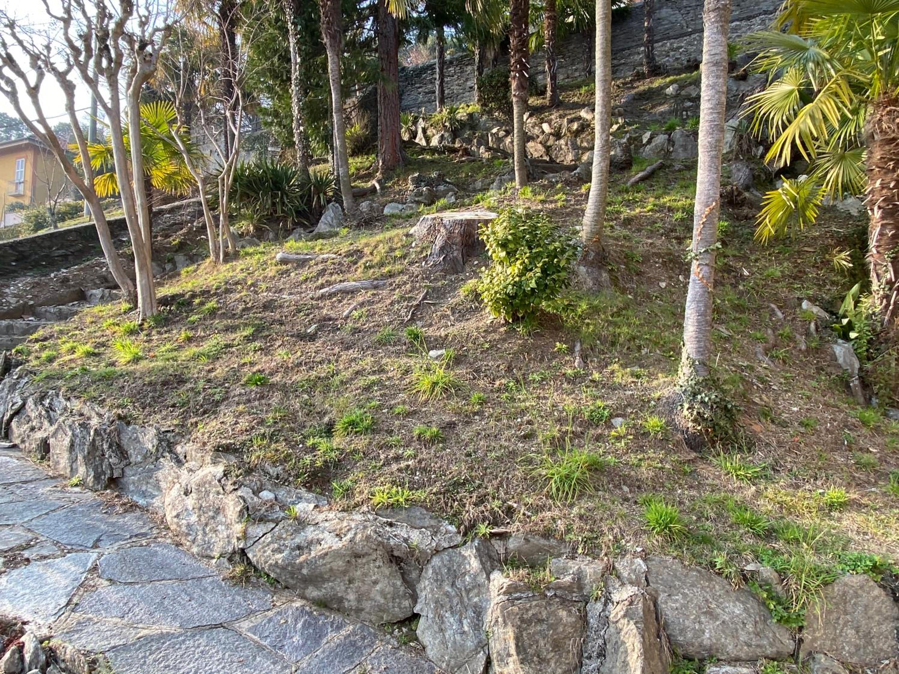 Frankie’s House, 写真 83