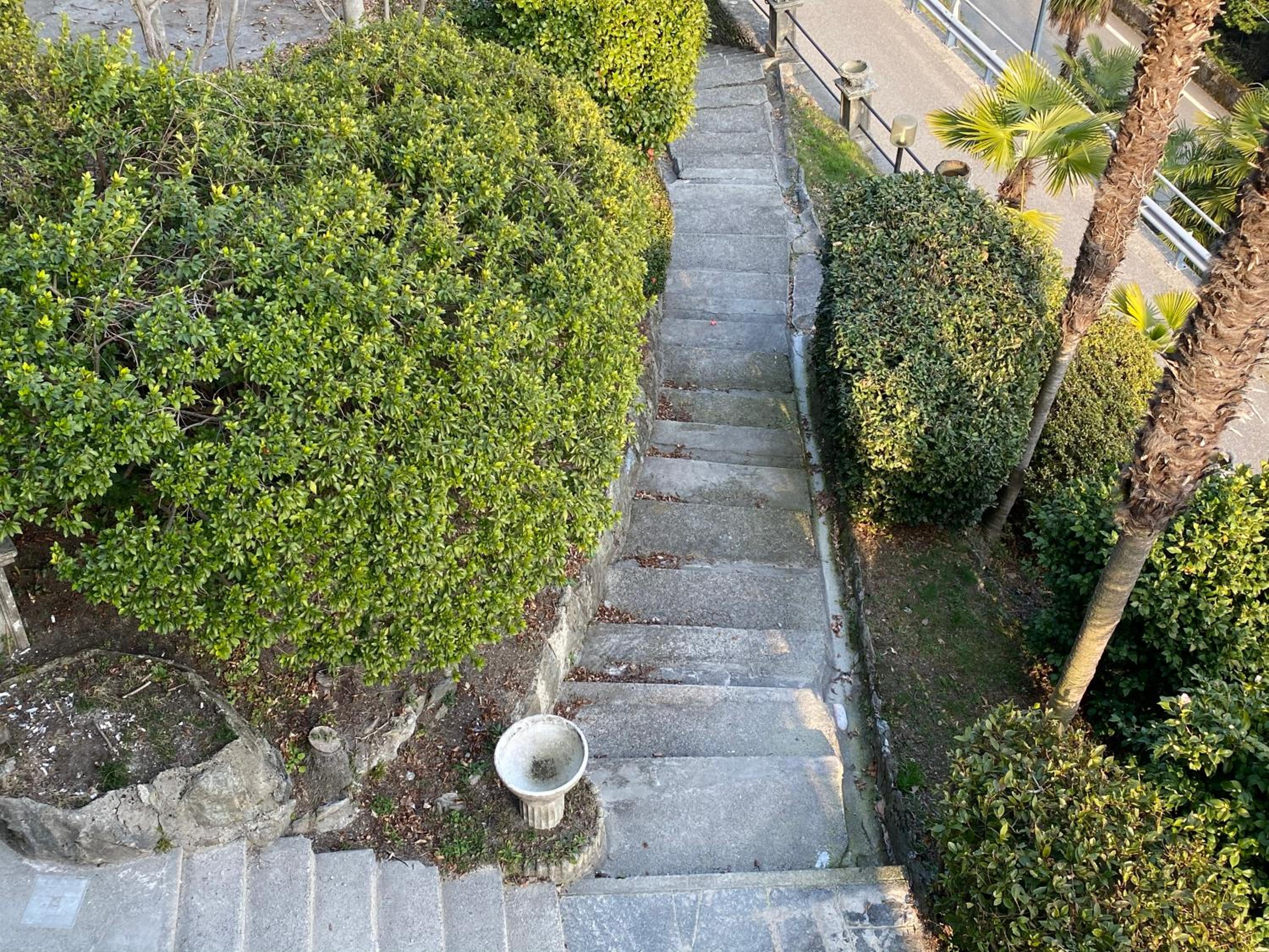 Frankie’s House, 写真 21