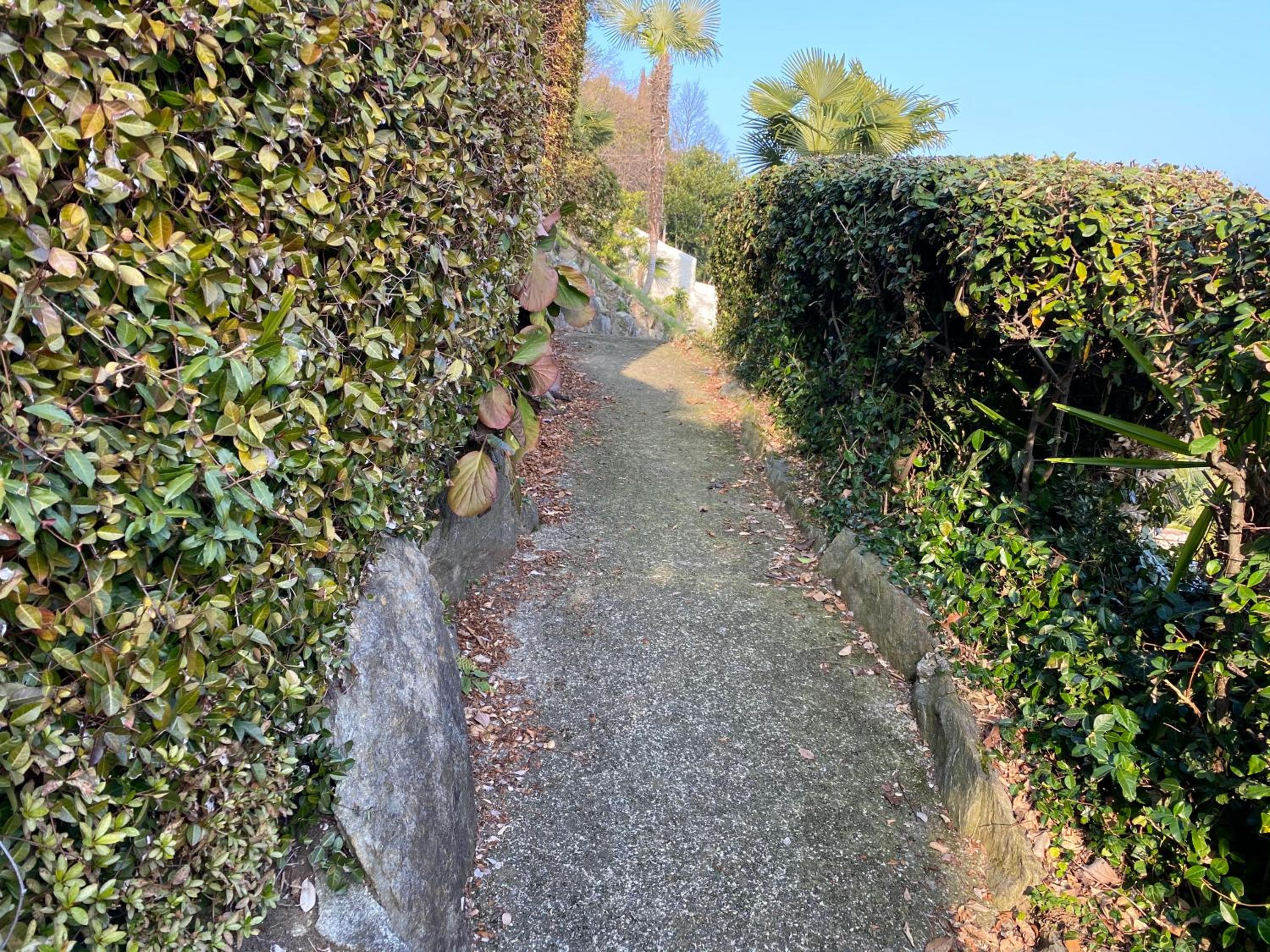 Frankie’s House, 写真 13