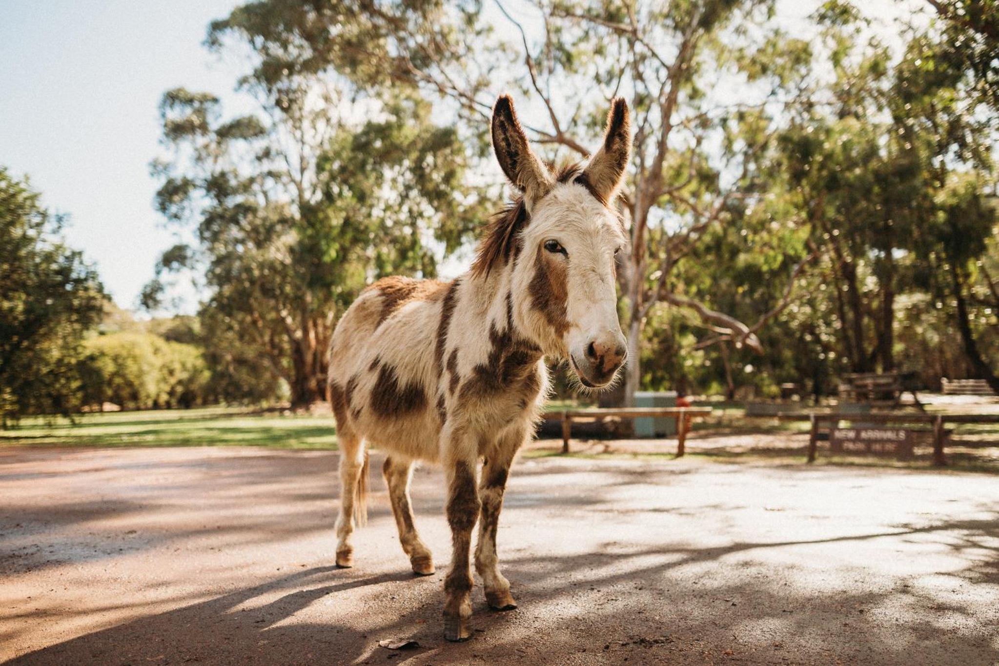 Margaret River Holiday Cottages