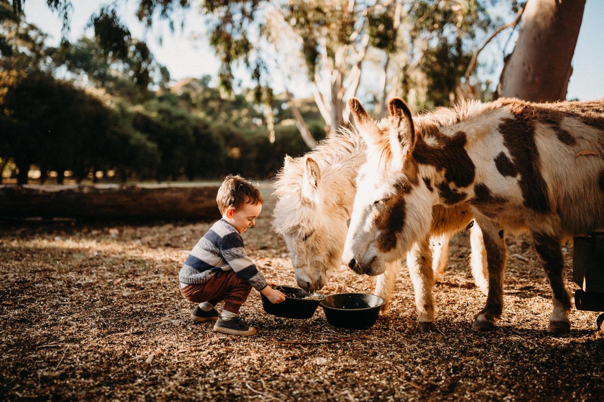 Margaret River Holiday Cottages