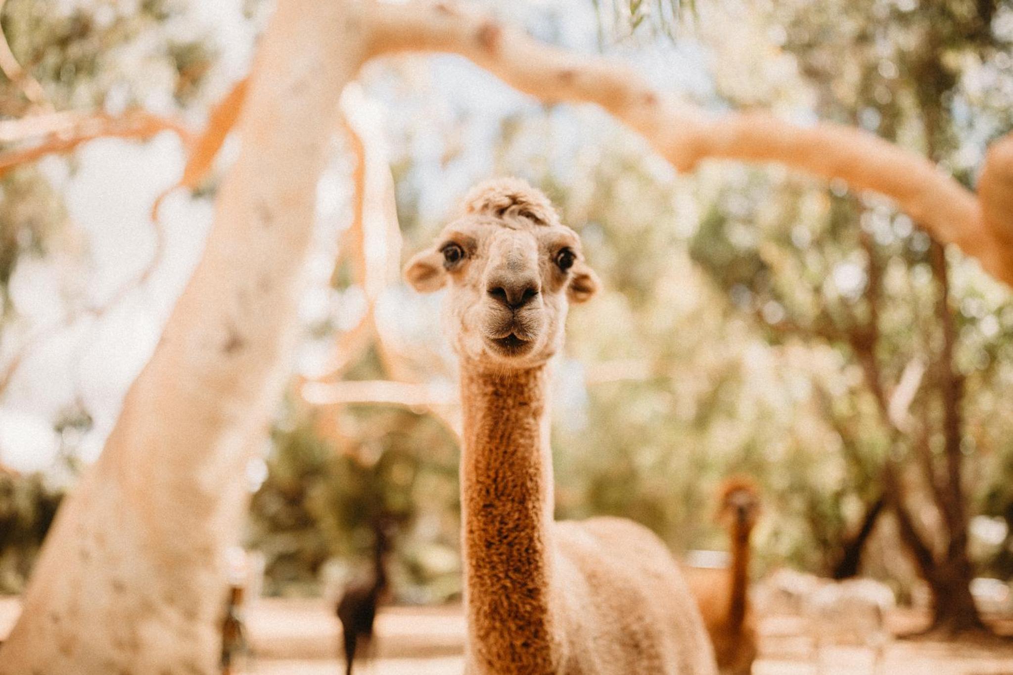 Margaret River Holiday Cottages