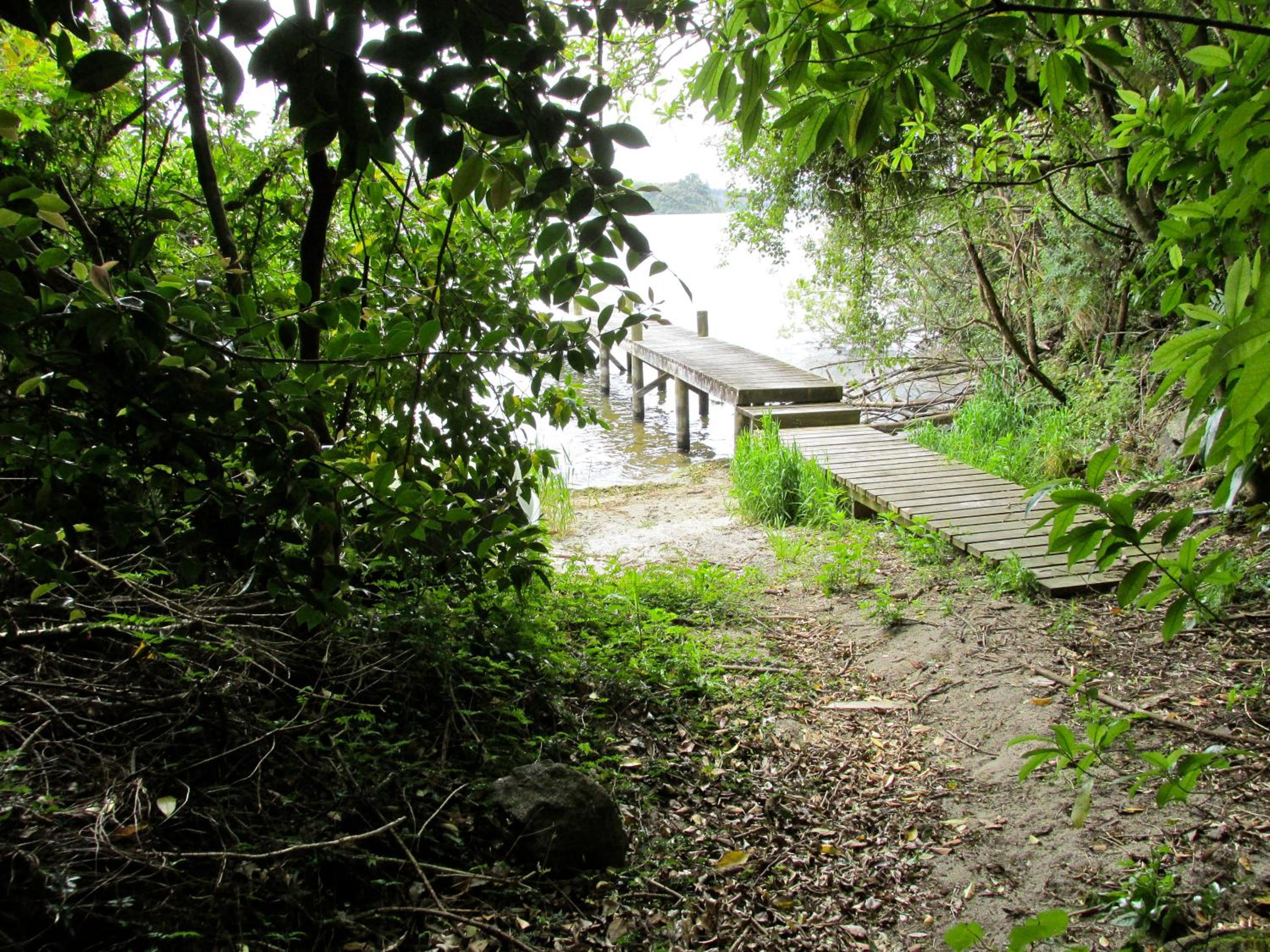 Photo 25
