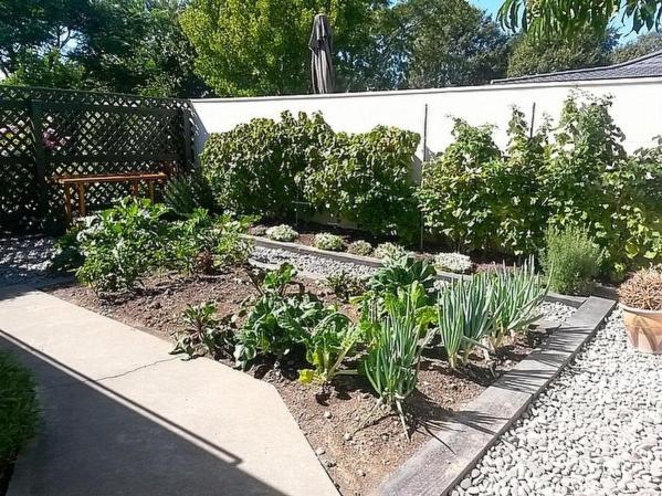 Photo 27