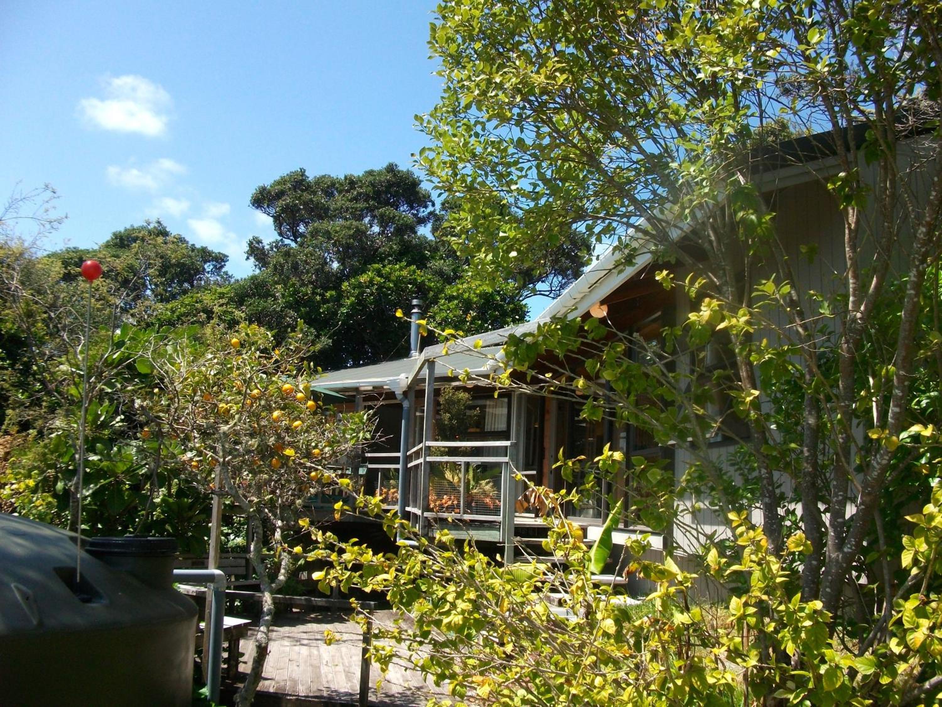 Photo 15