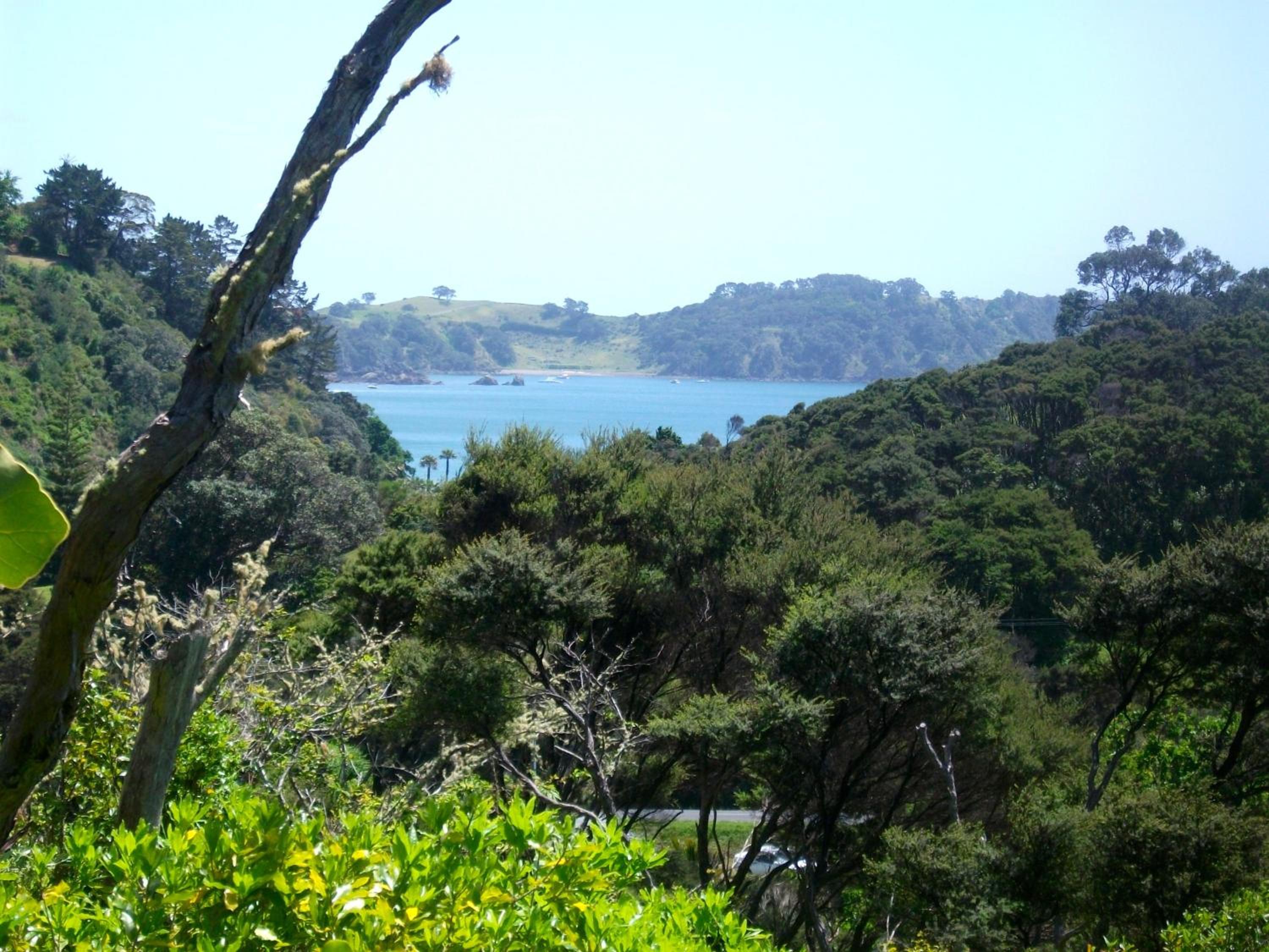 Photo 21