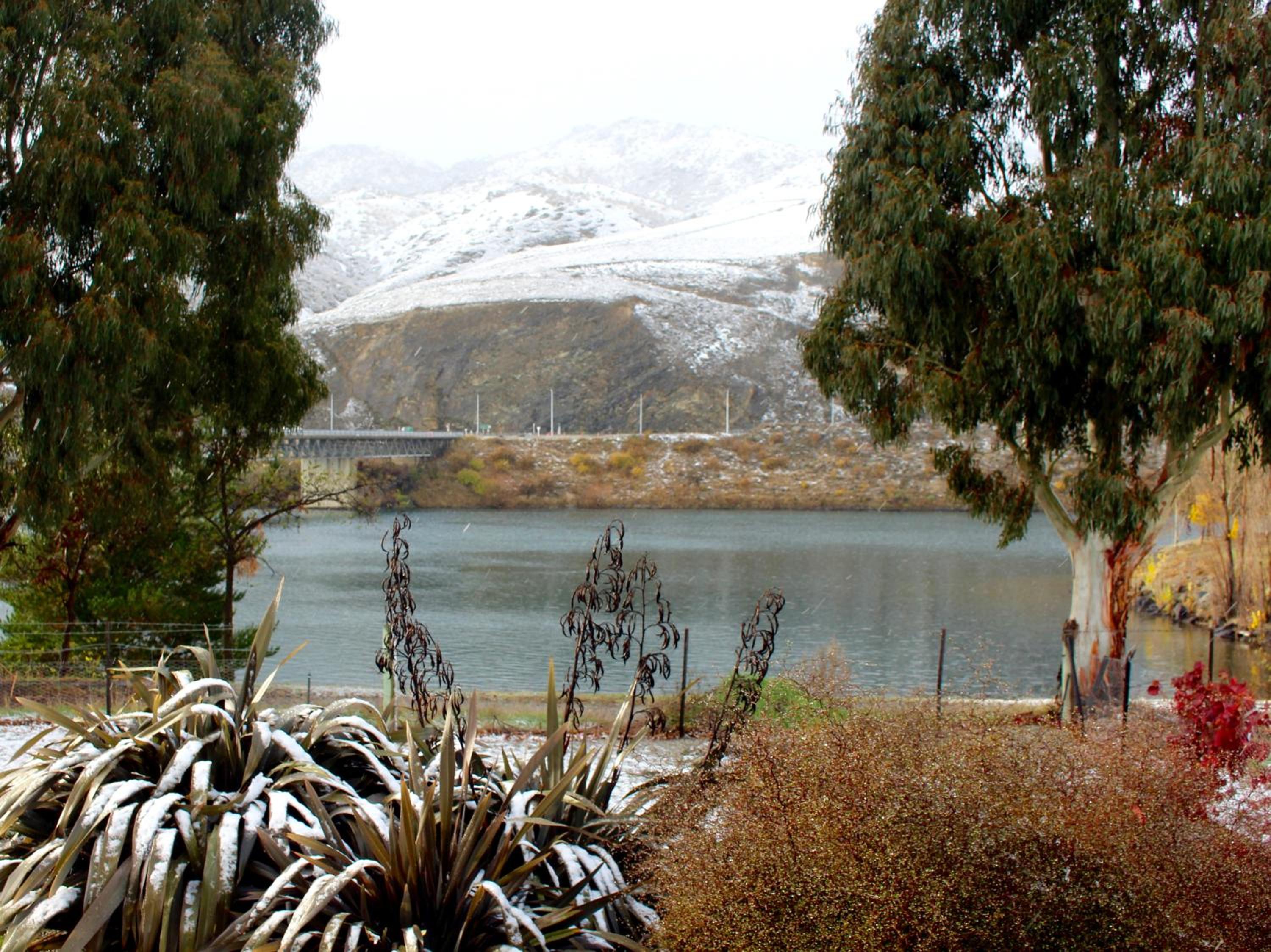 Photo 20