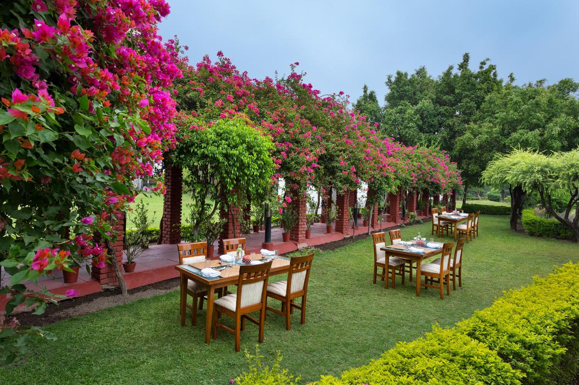 Naturoville Wellness Resort Rishikesh - Surrounded by Nature, Rooted in Wellness view 4