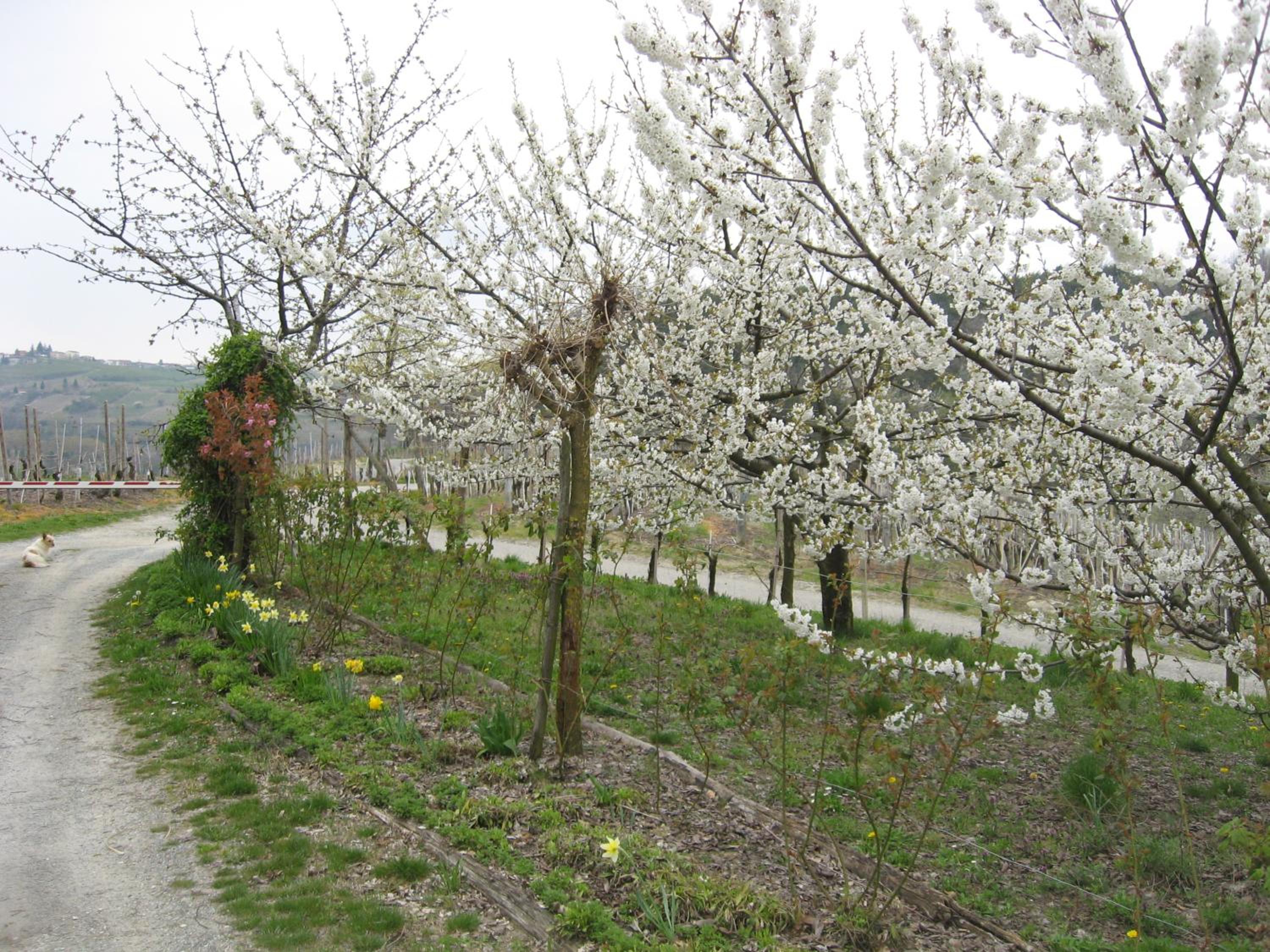 Agriturismo Cascina Serra