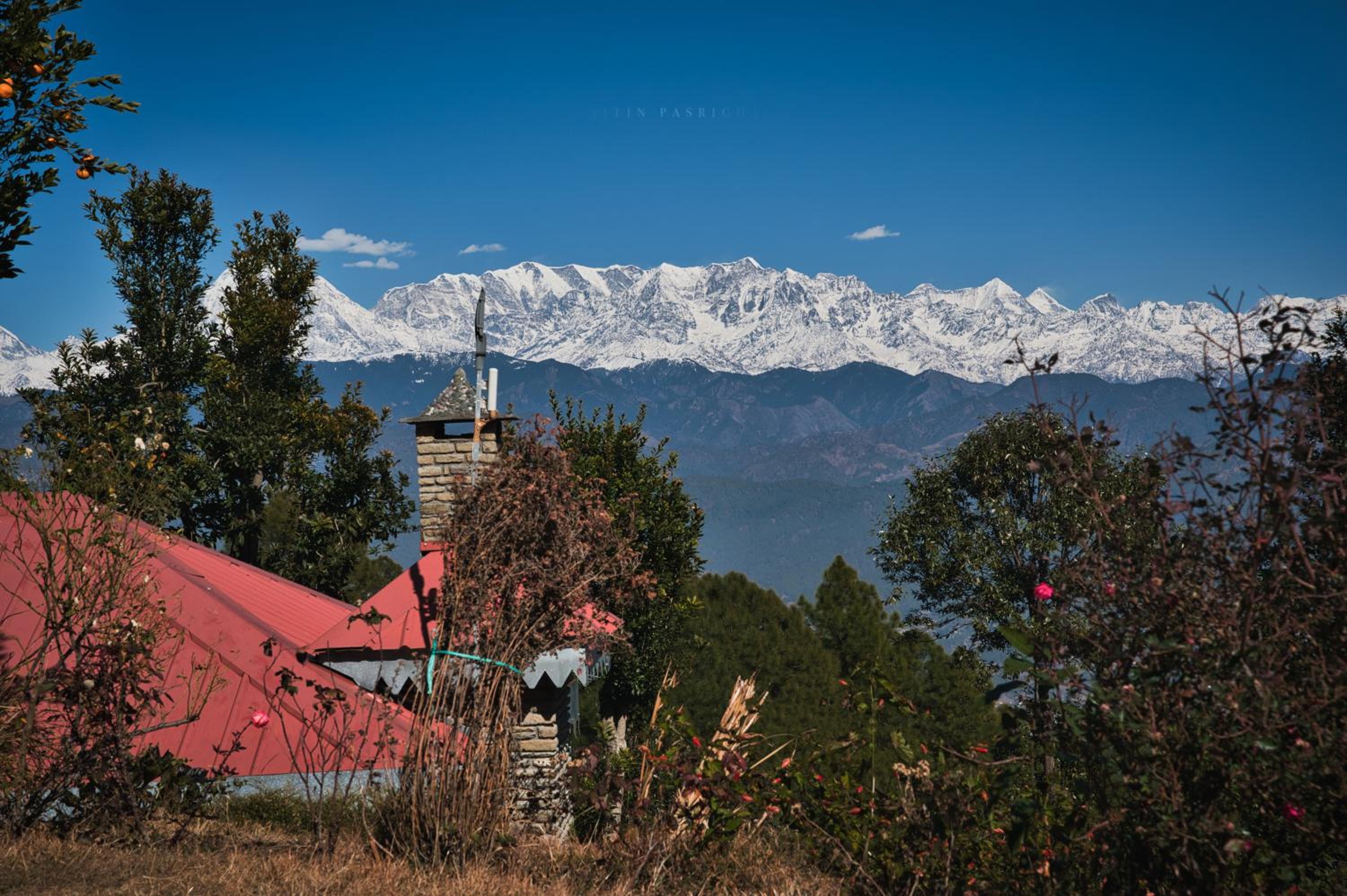 Himalaya Darshan Resort view 4