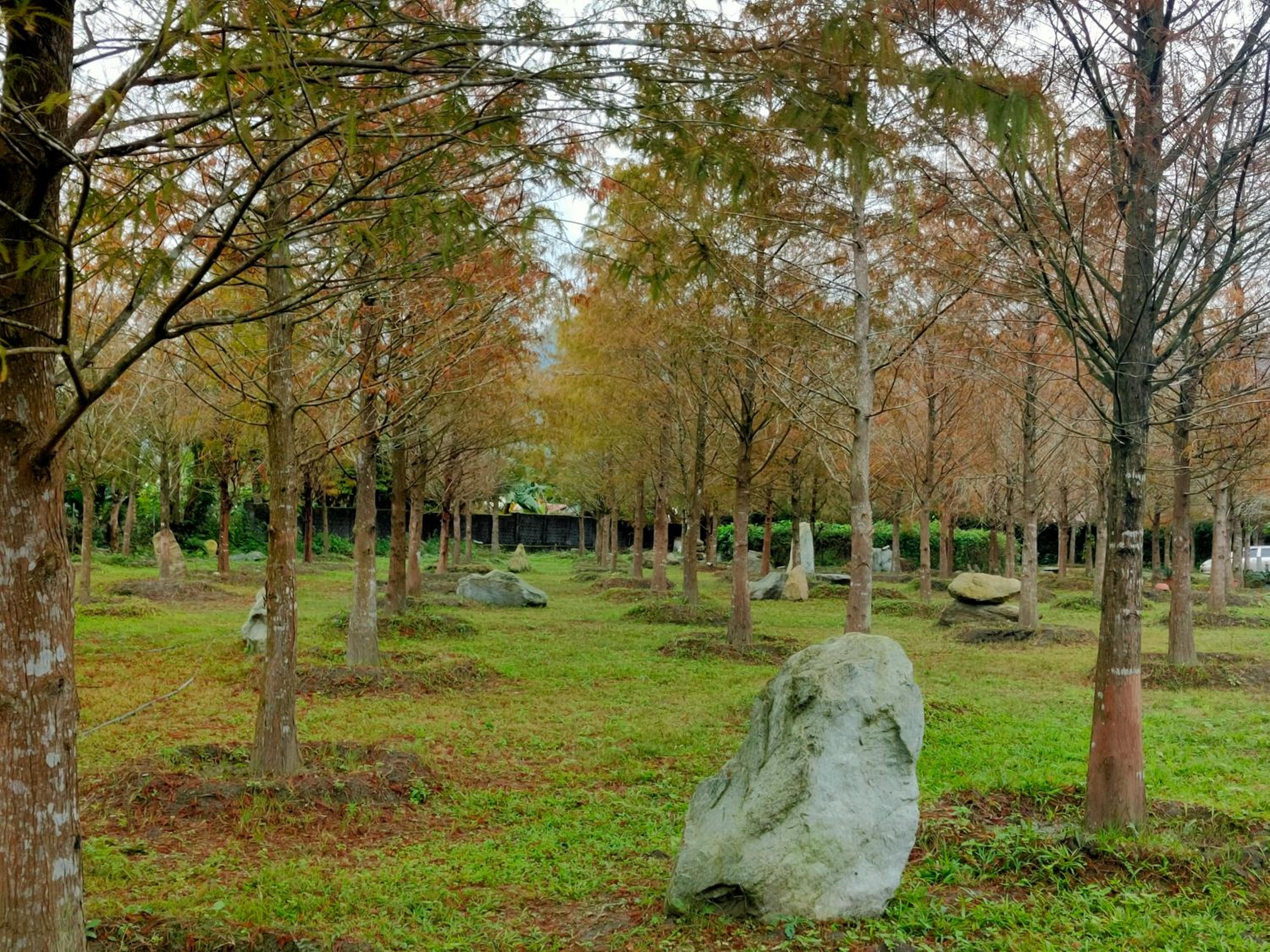 谷築石苑 view 3