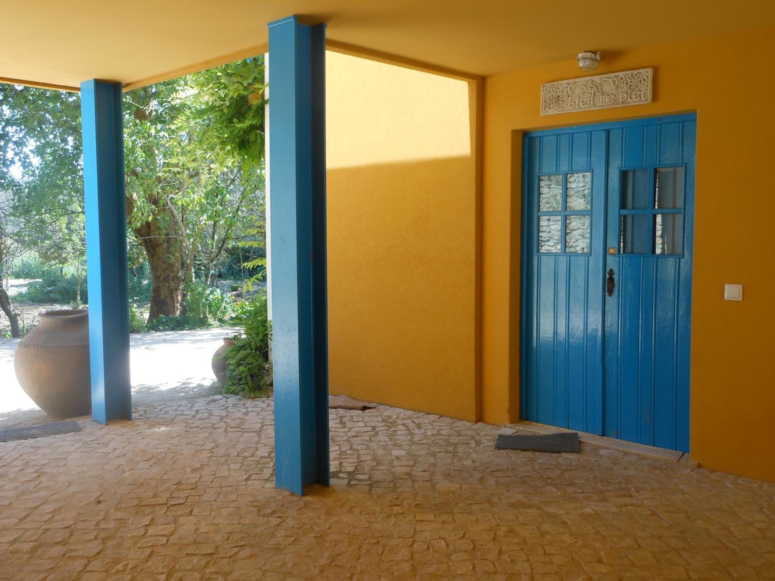 Photo 7