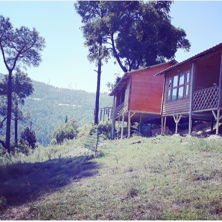 Golden valley cottages, Chail view 5