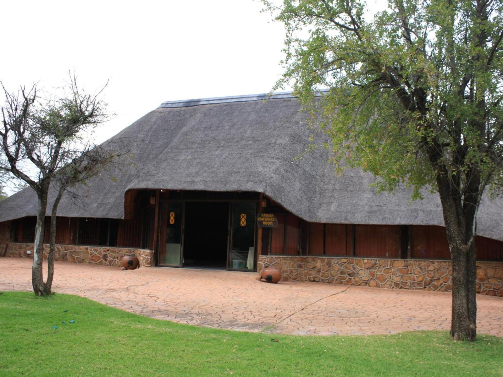 Photo 43