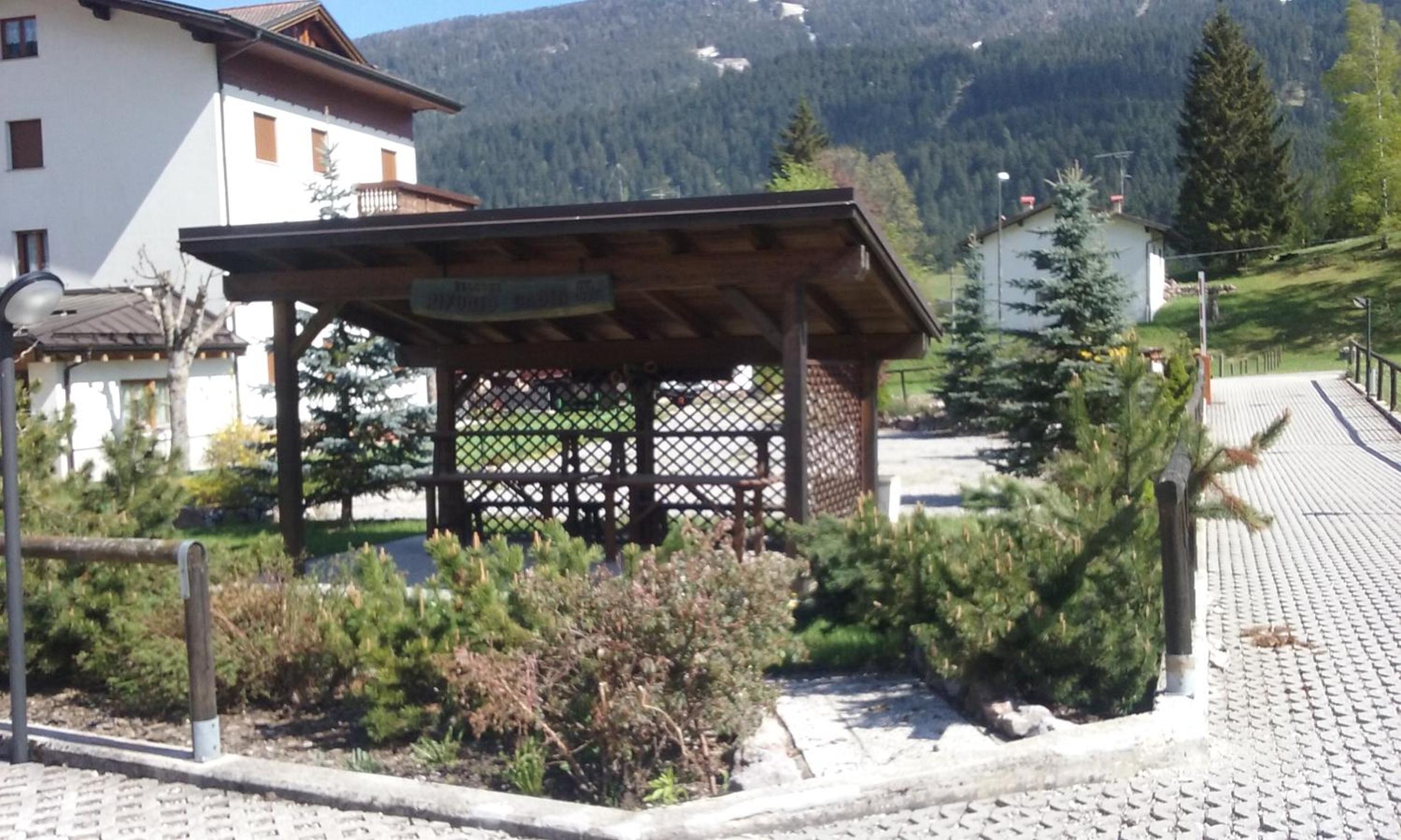 Photo 11