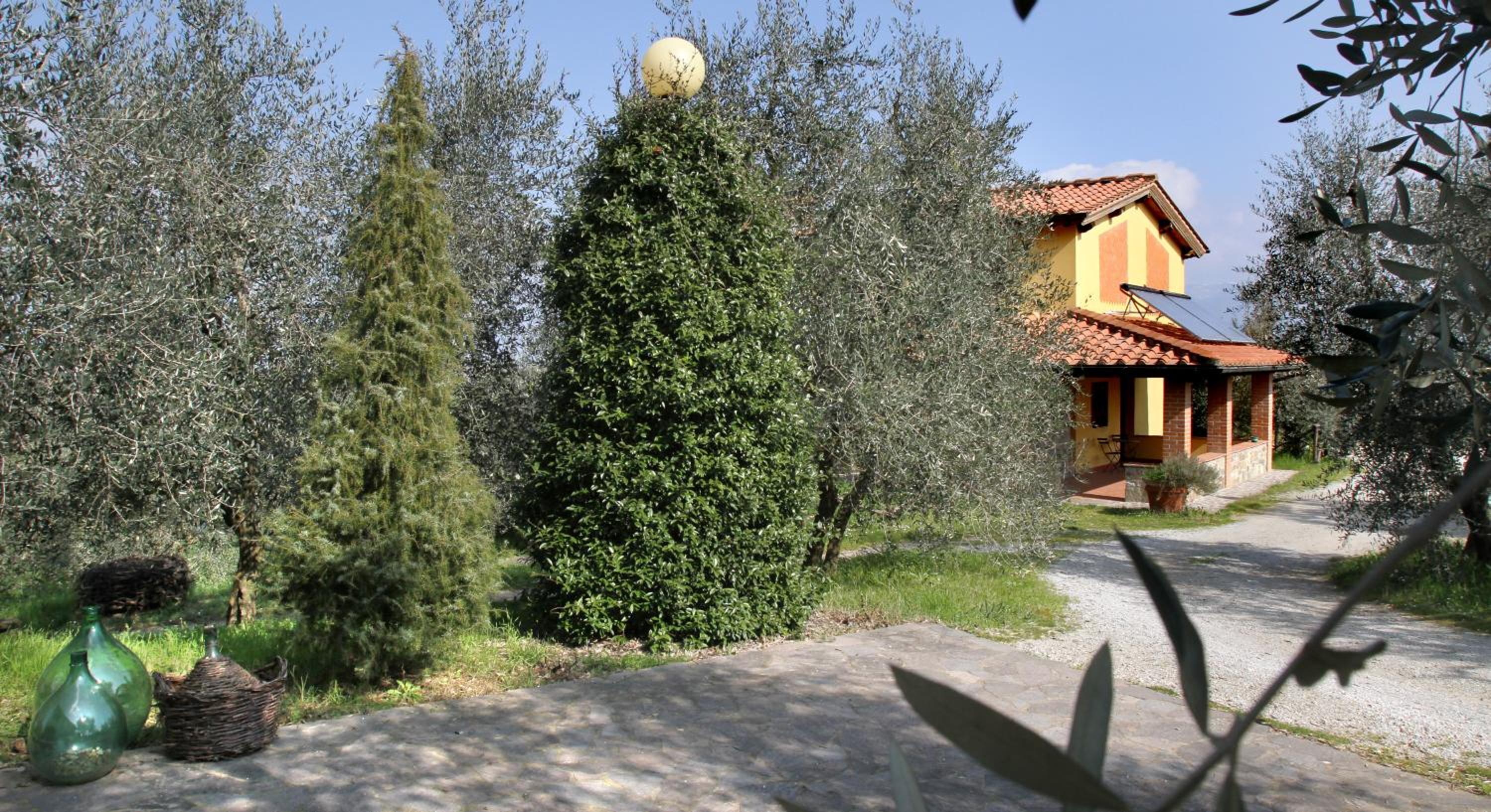 Photo 12