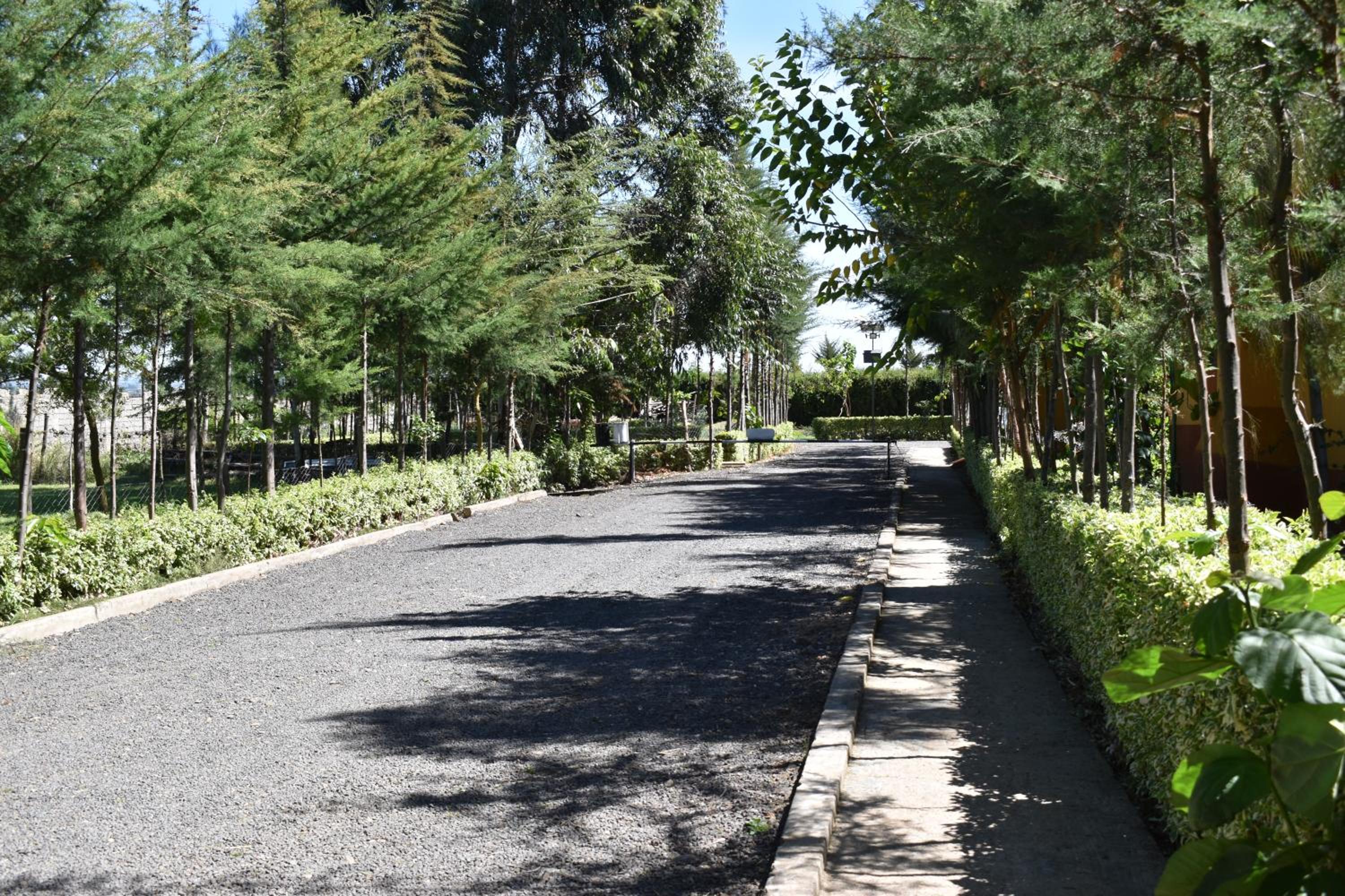 Anka Resort