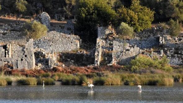 KARABİBİK BUNGALOW view 5