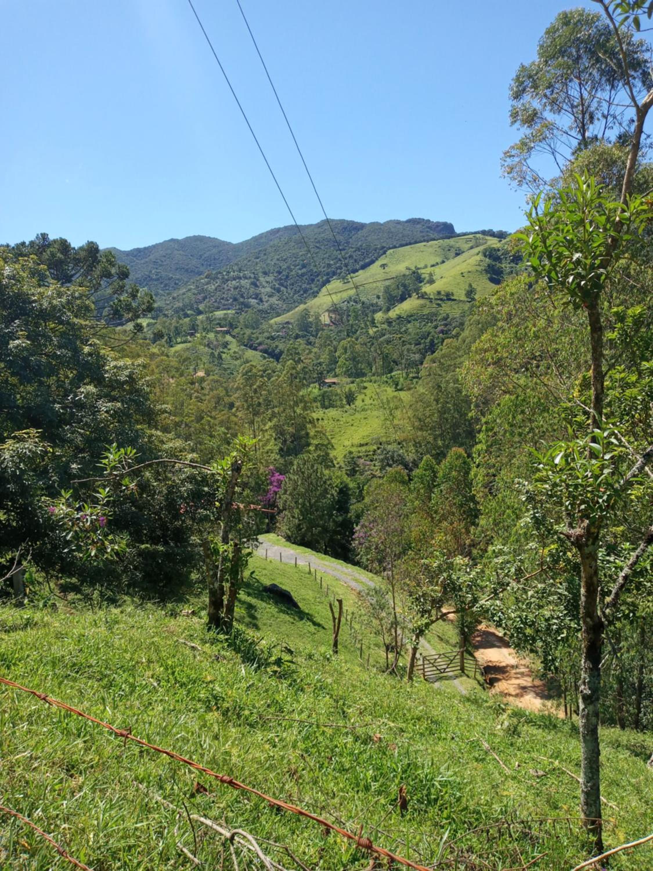 Photo 59