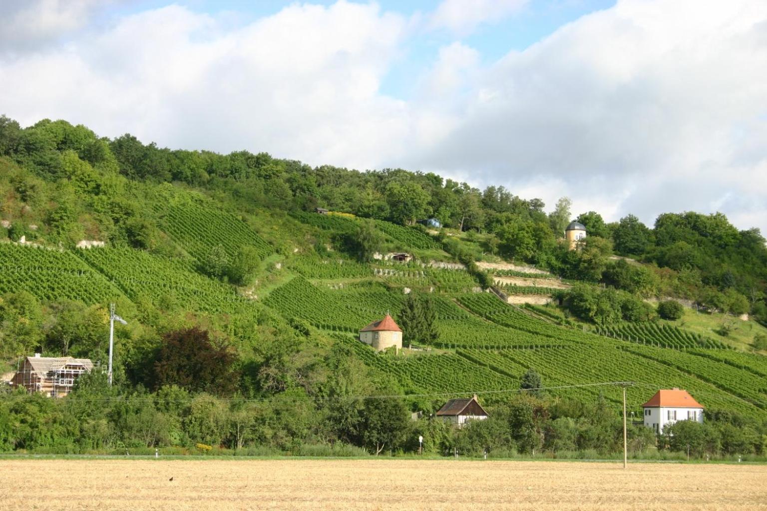 Ferienhaus Silvaner