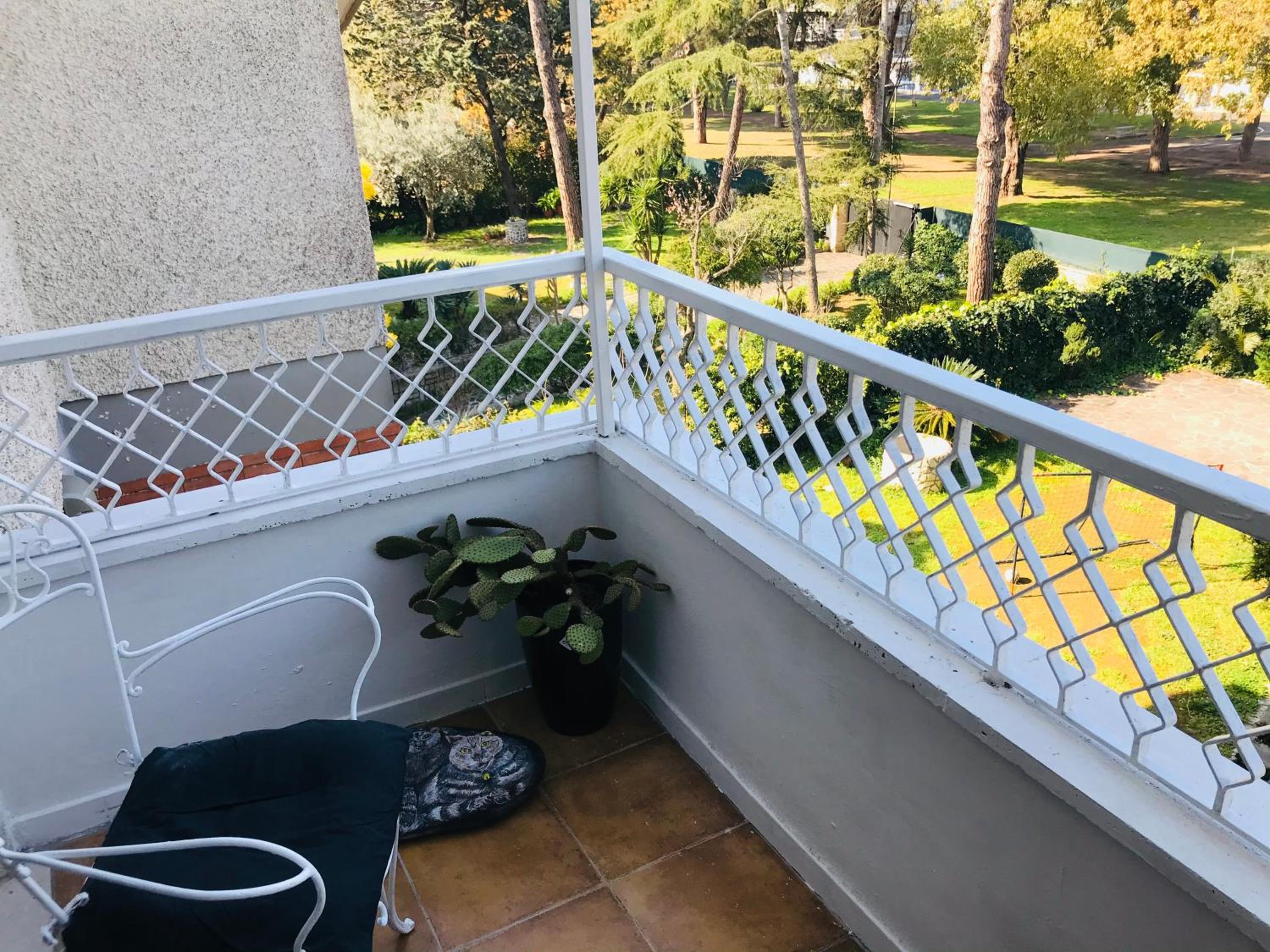 Carolina’S Nest view 4