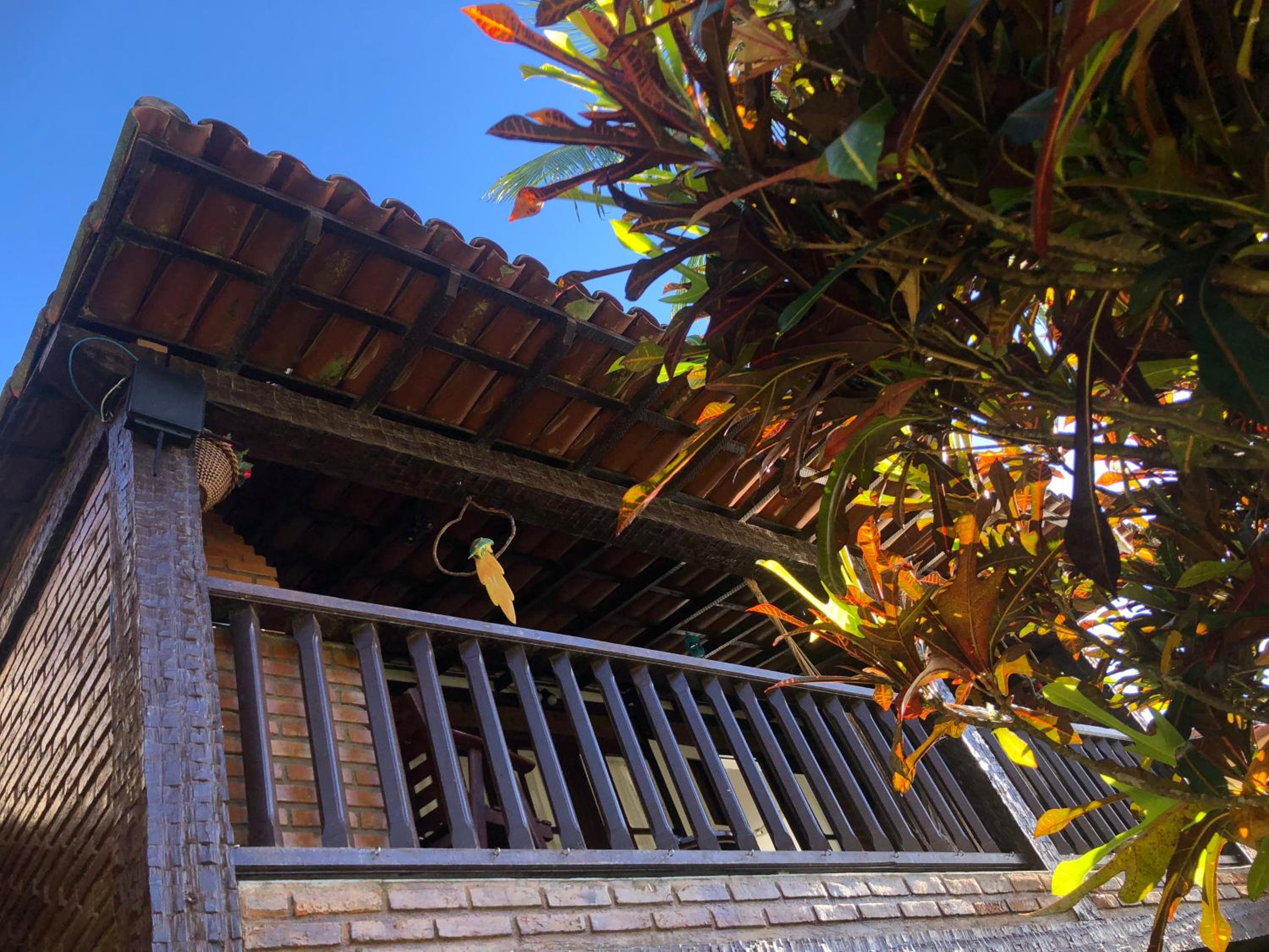 Bzs House em Geribá