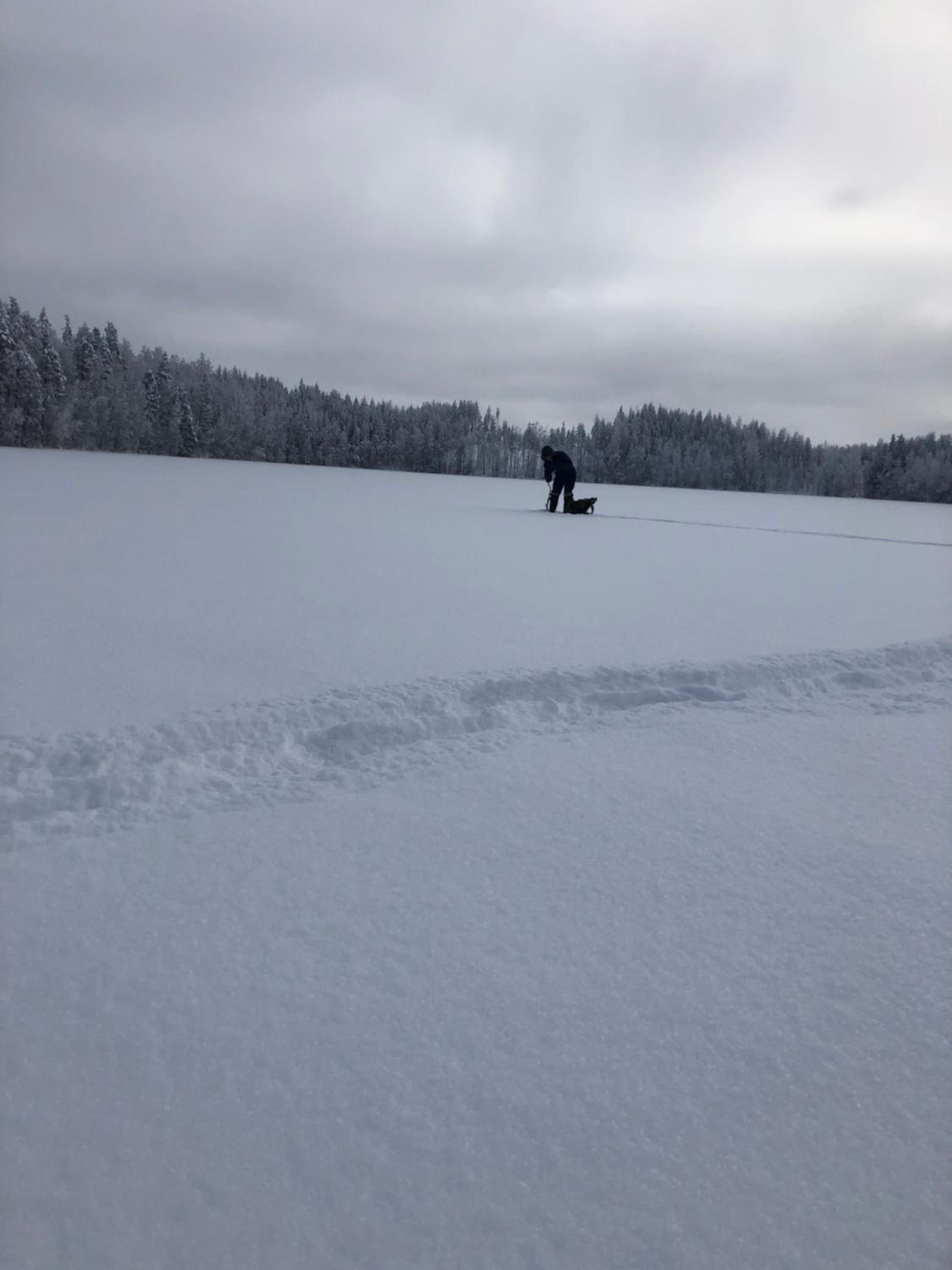 Photo 12