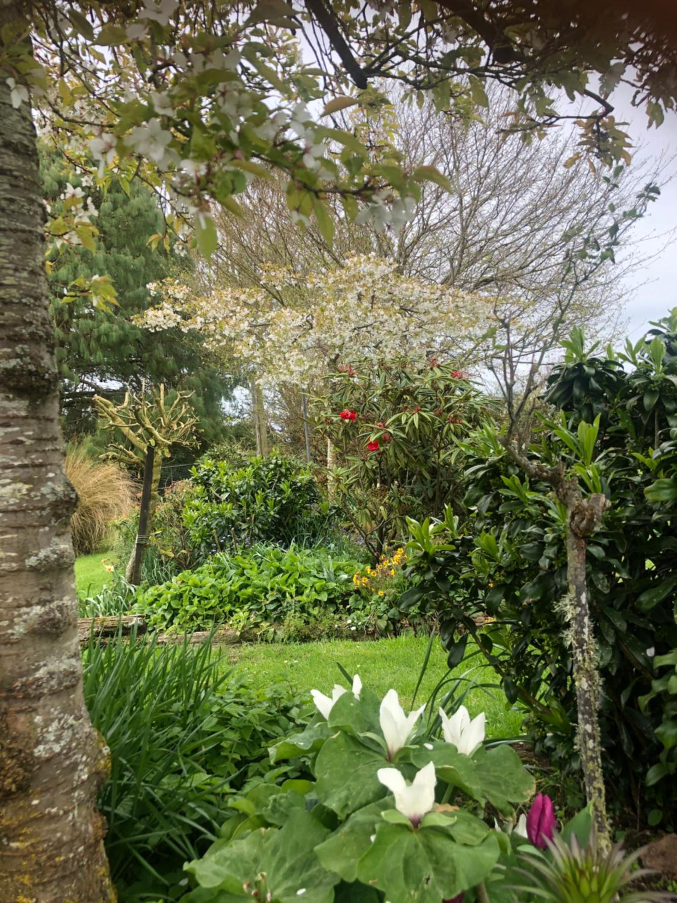Southland Organic Farmstay view 3