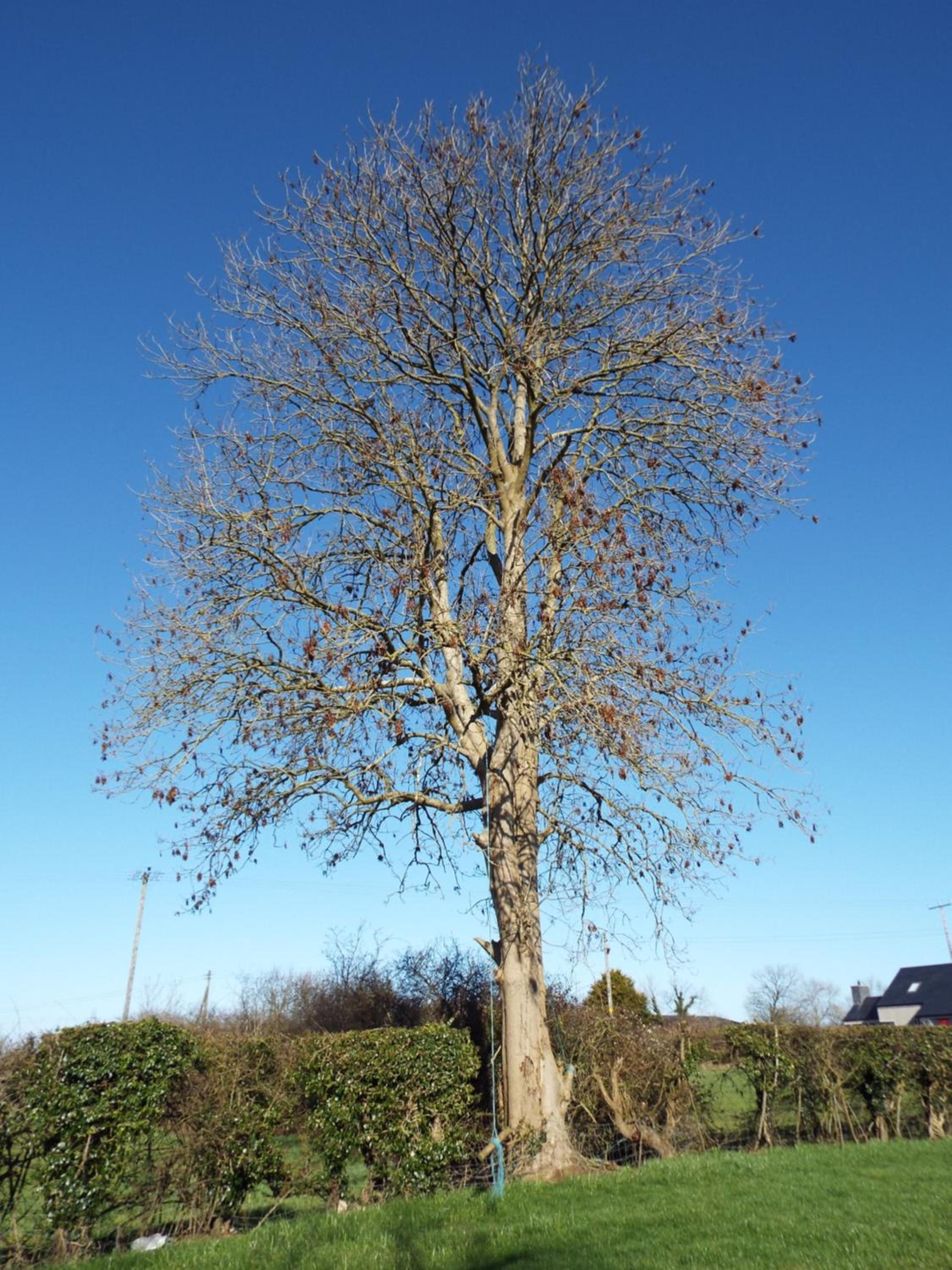 Photo 47