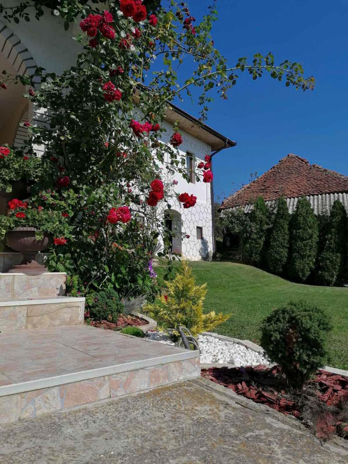 Domaćinstvo Sinđelić view 3