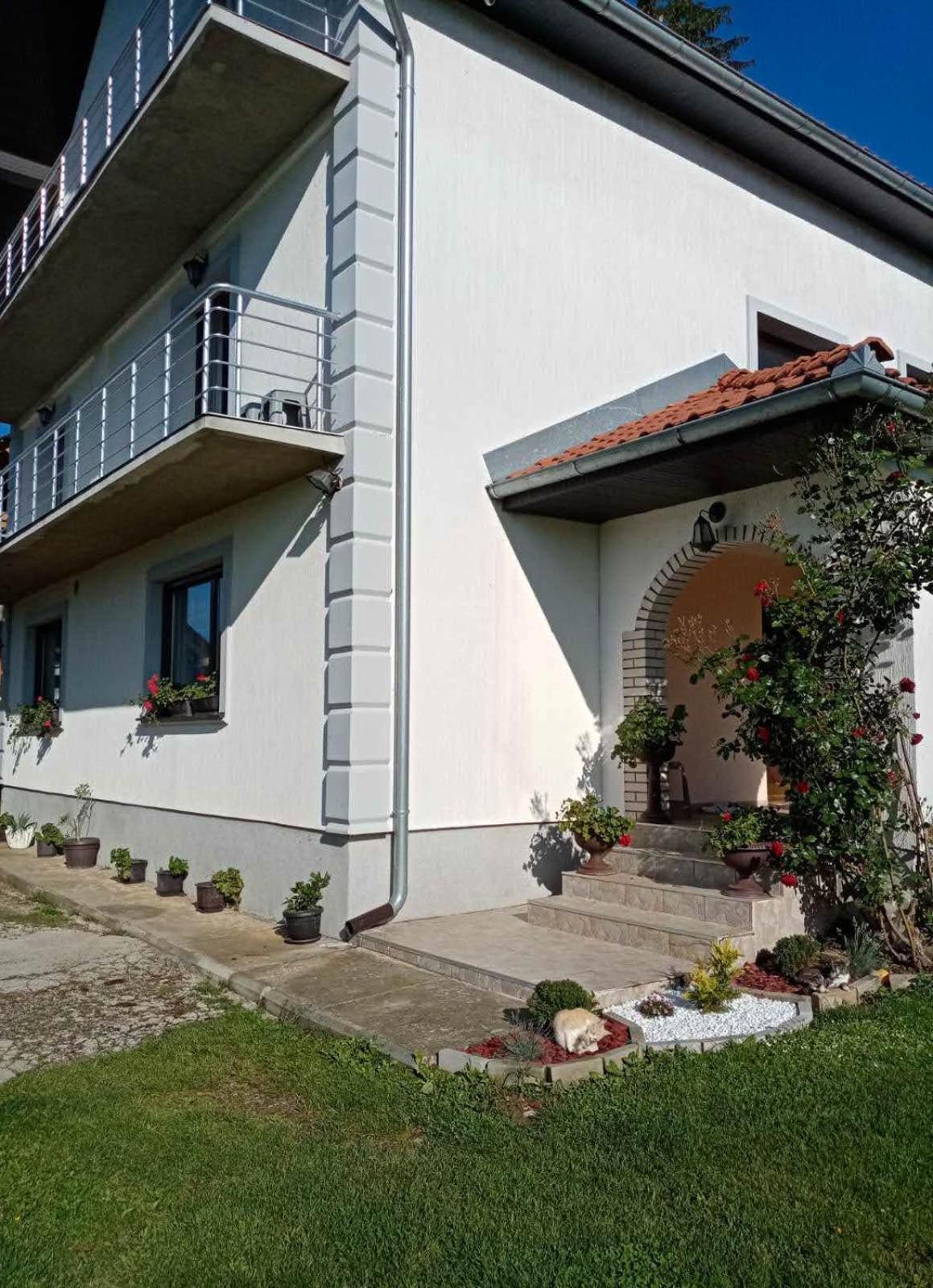 Domaćinstvo Sinđelić view 4