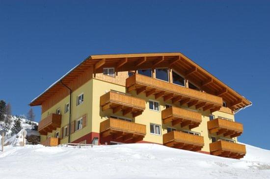 Fewo-Obertauern-Steinadler