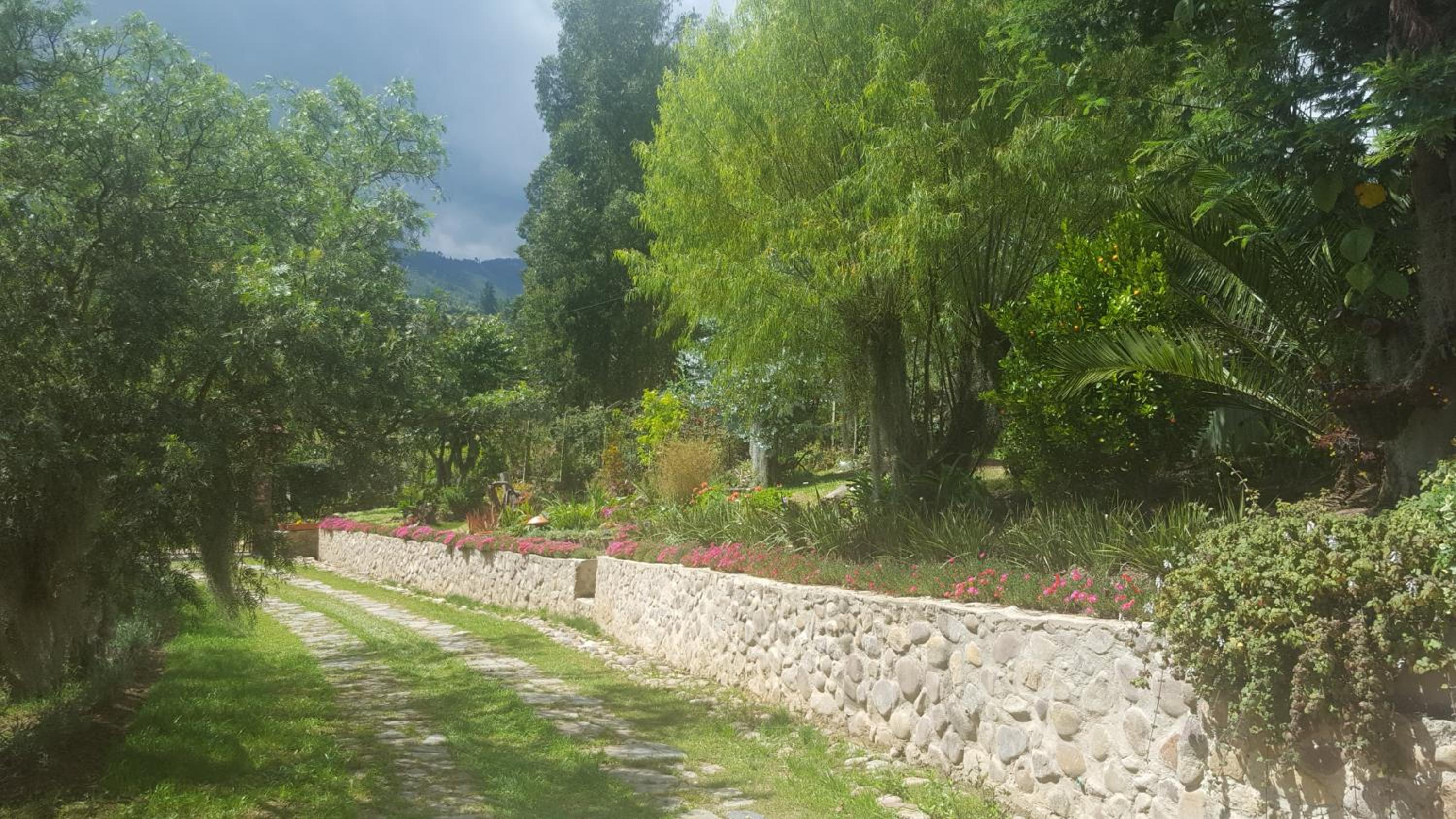 D'Antaño
