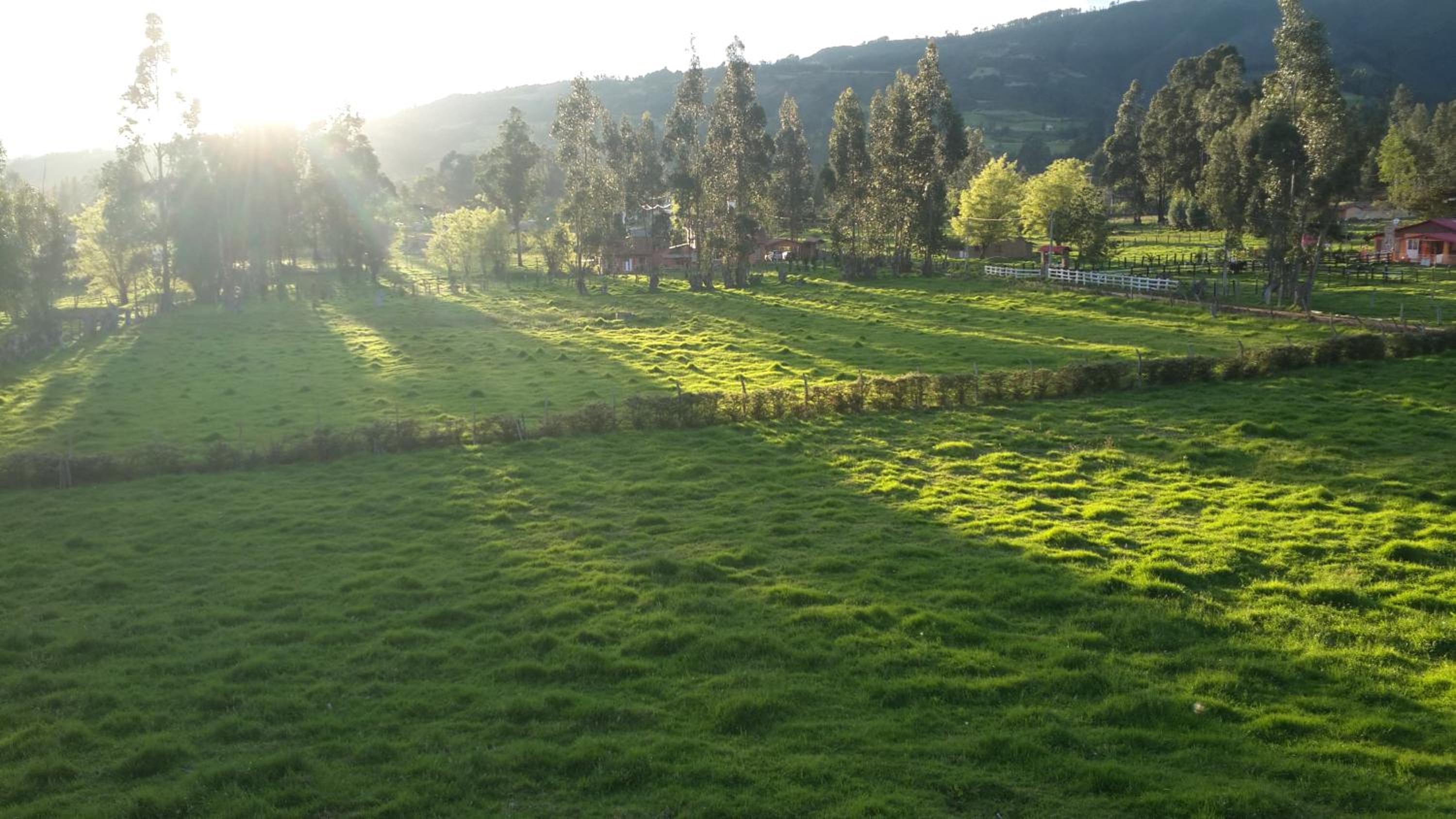 D'Antaño
