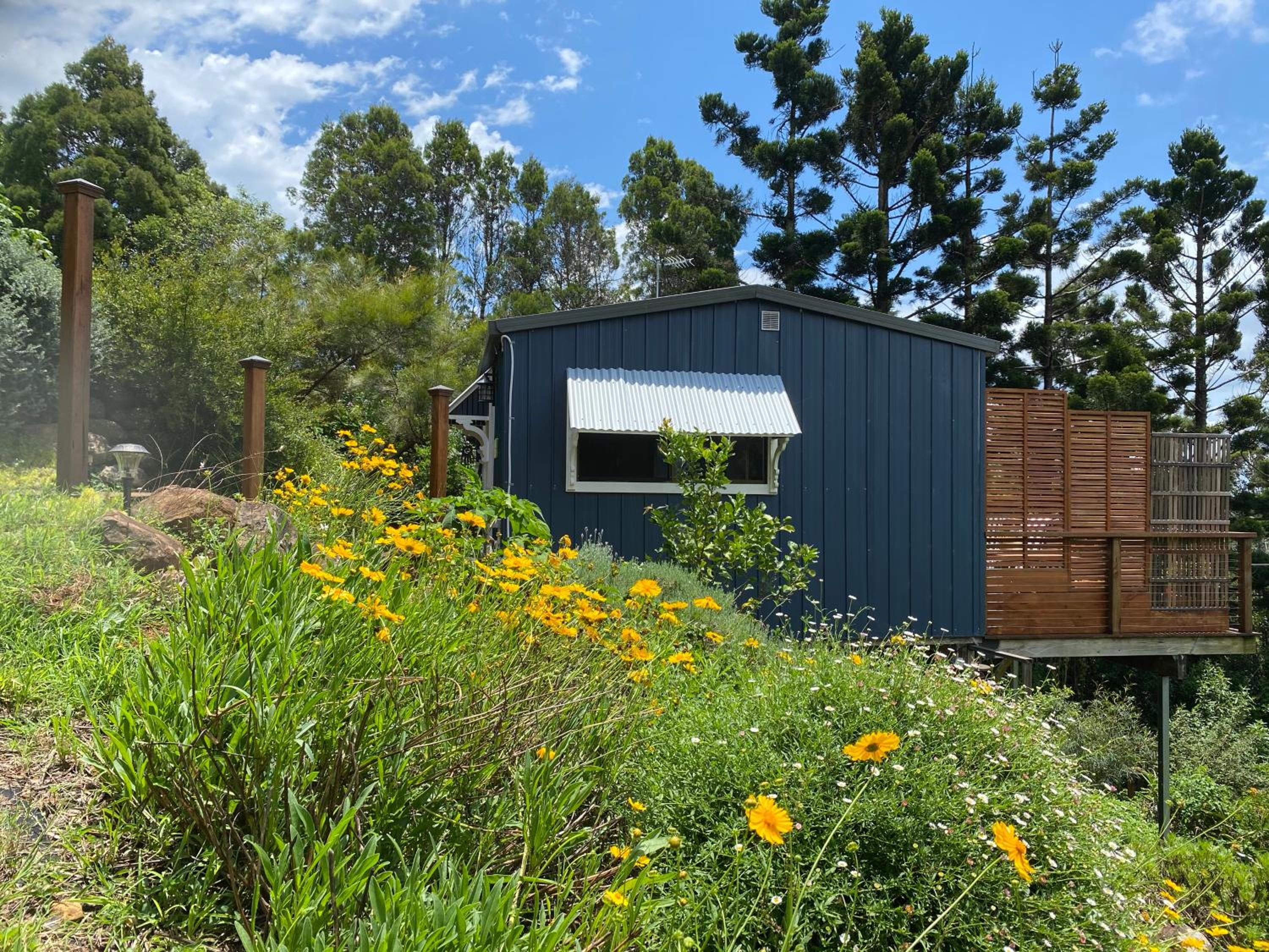 Willow Cabin