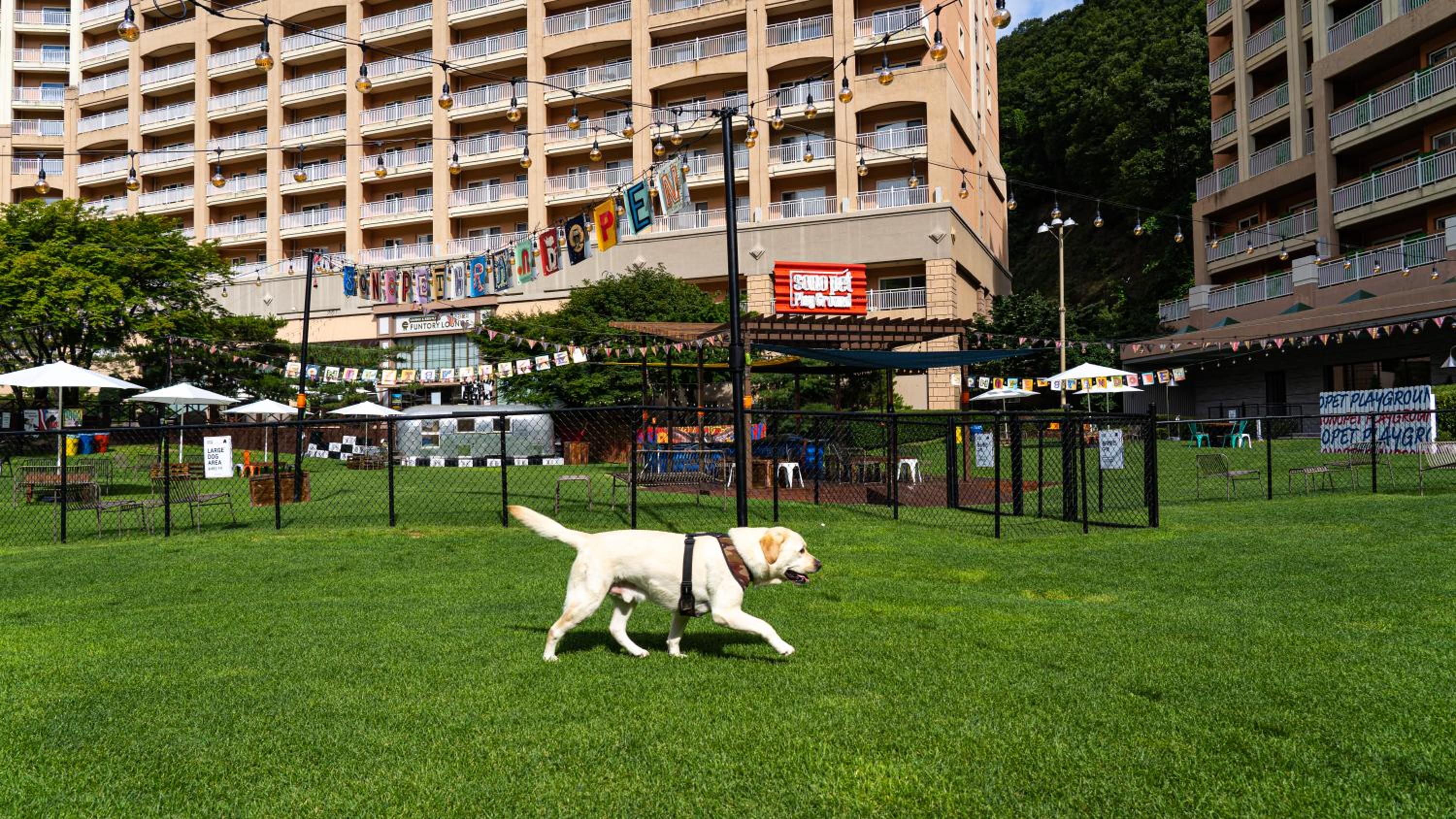Sono Pet Clubs & Resorts VivaldiPark view 3