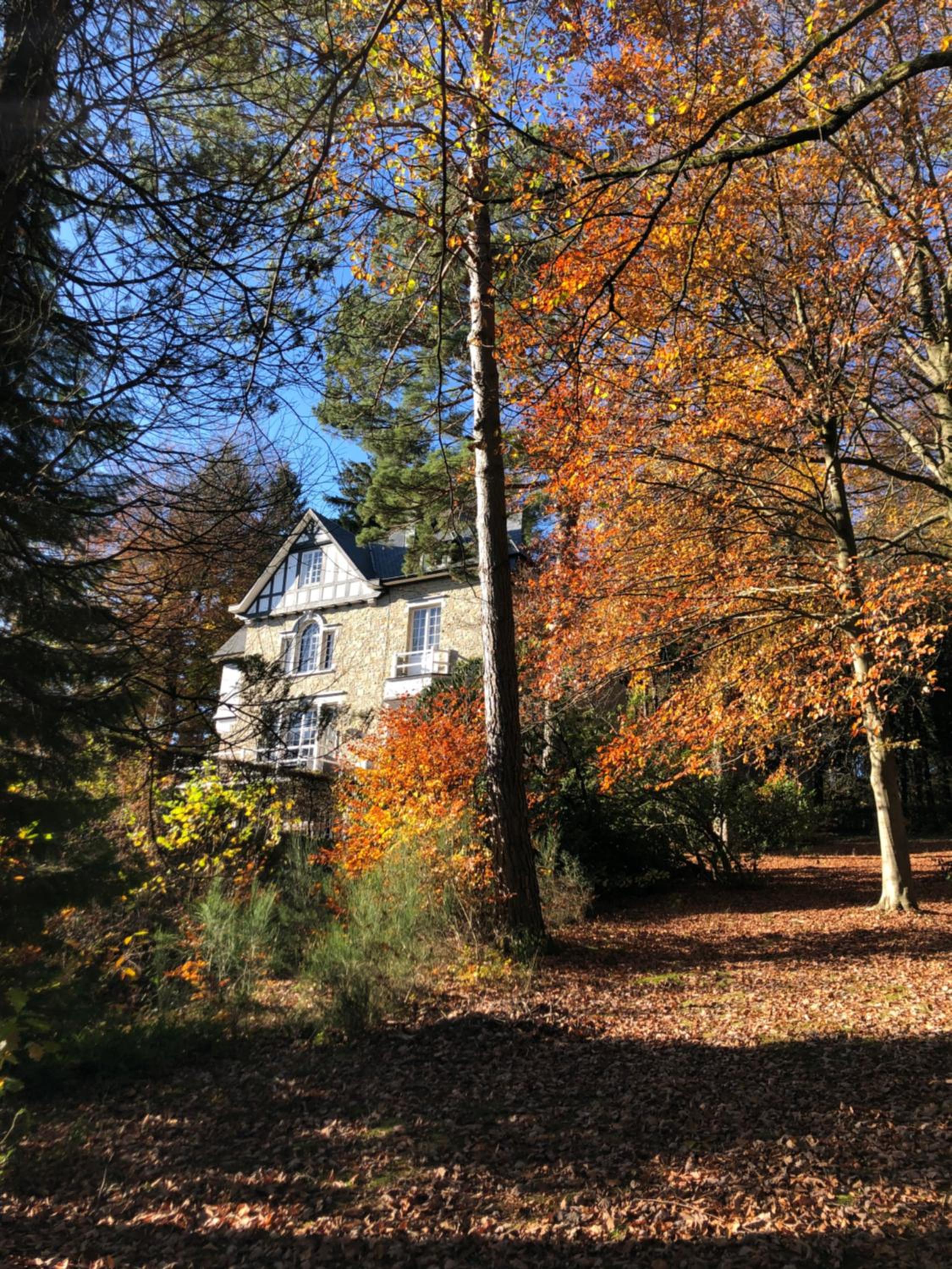 Photo 12
