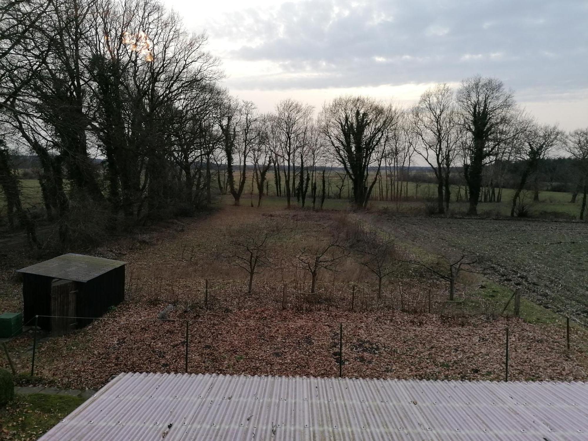 Ferienwohnung Wiesenweg view 5