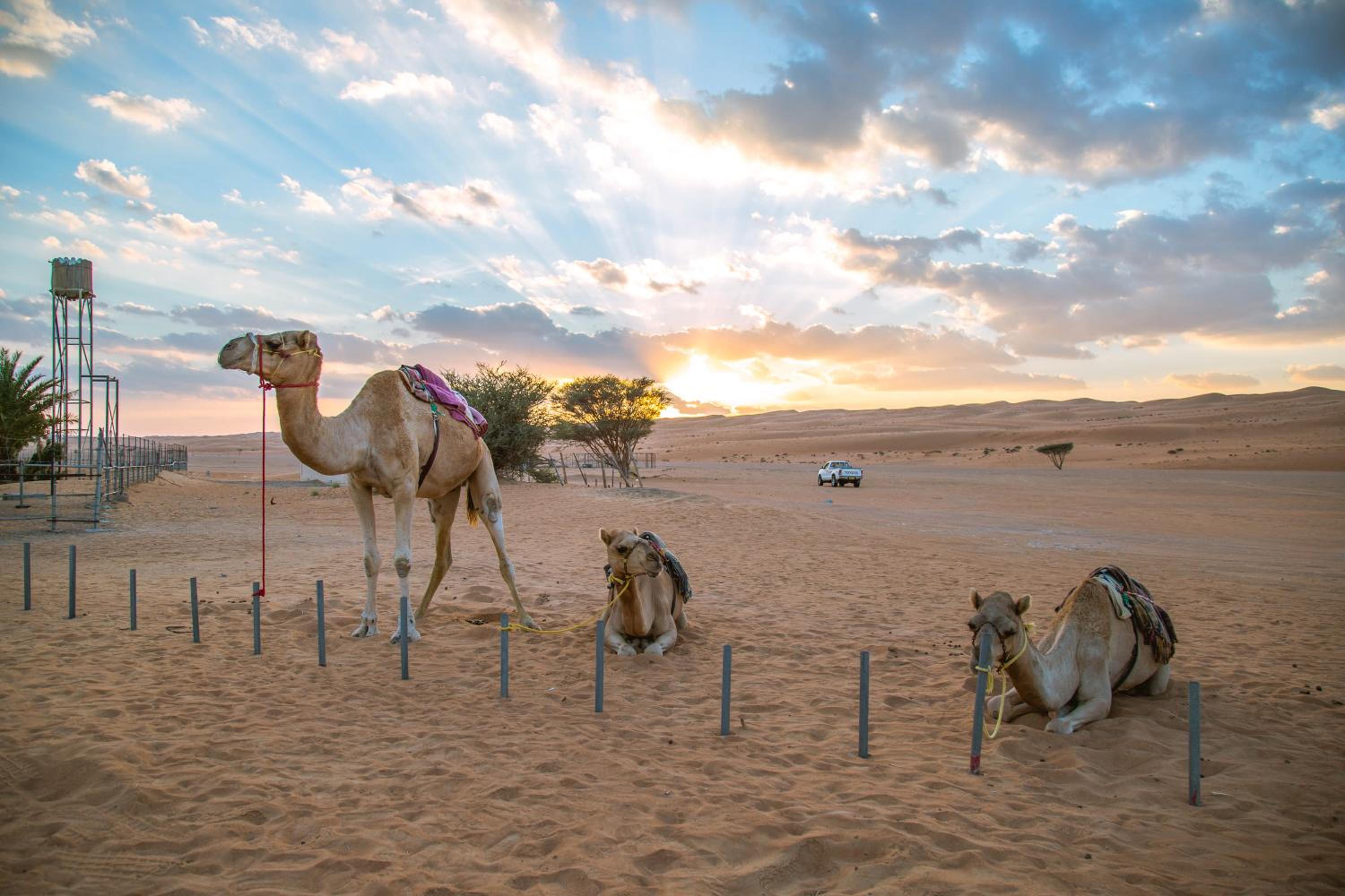 Sama al Wasil Desert Camp
