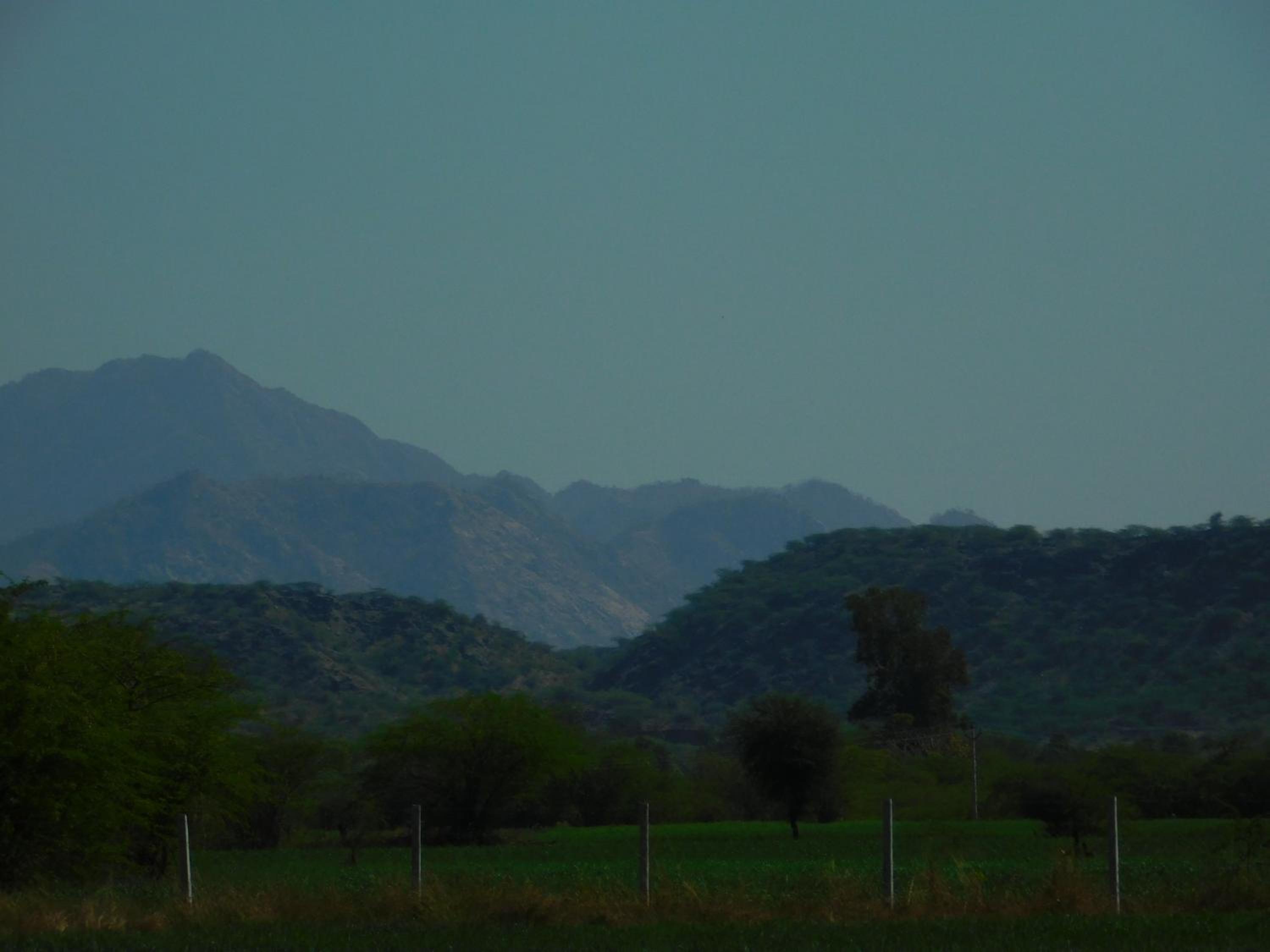 Photo 32