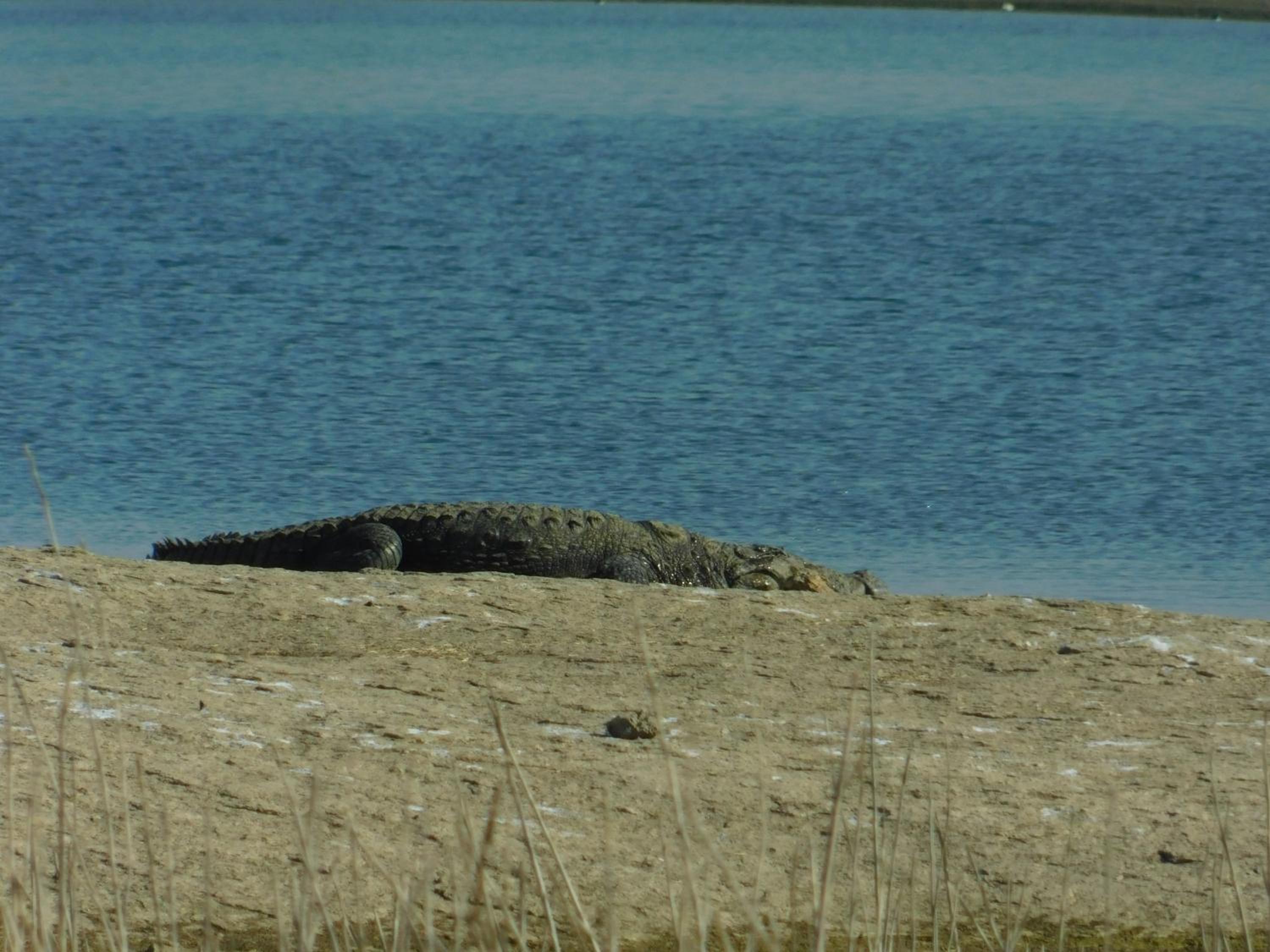 Photo 40