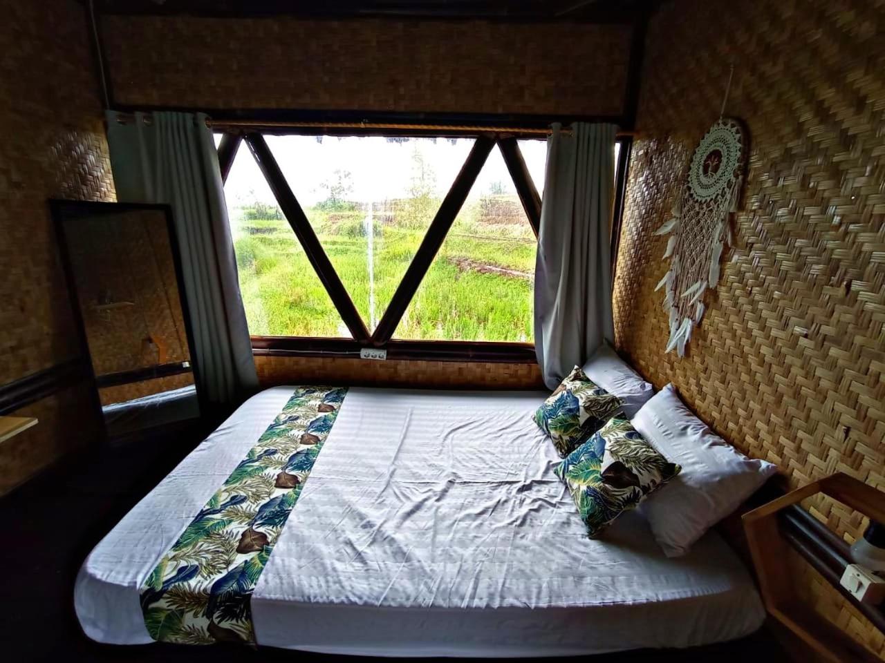 Paddies Homestay New view 2