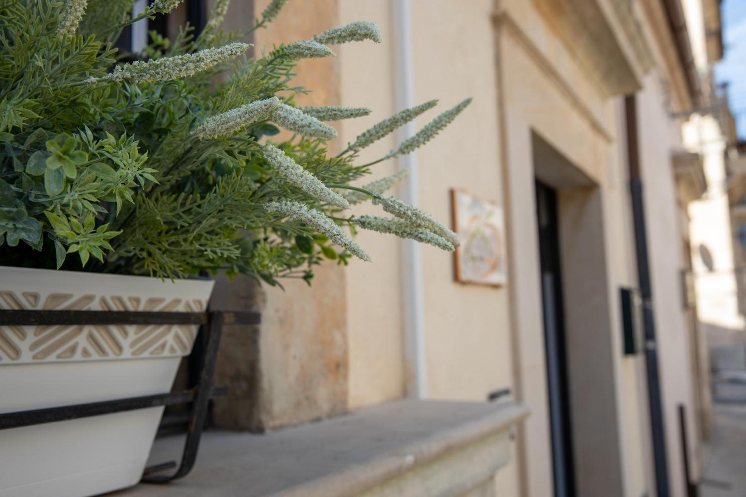 Casa ro cori, 10 minuti a piedi dalla Cattedrale view 2