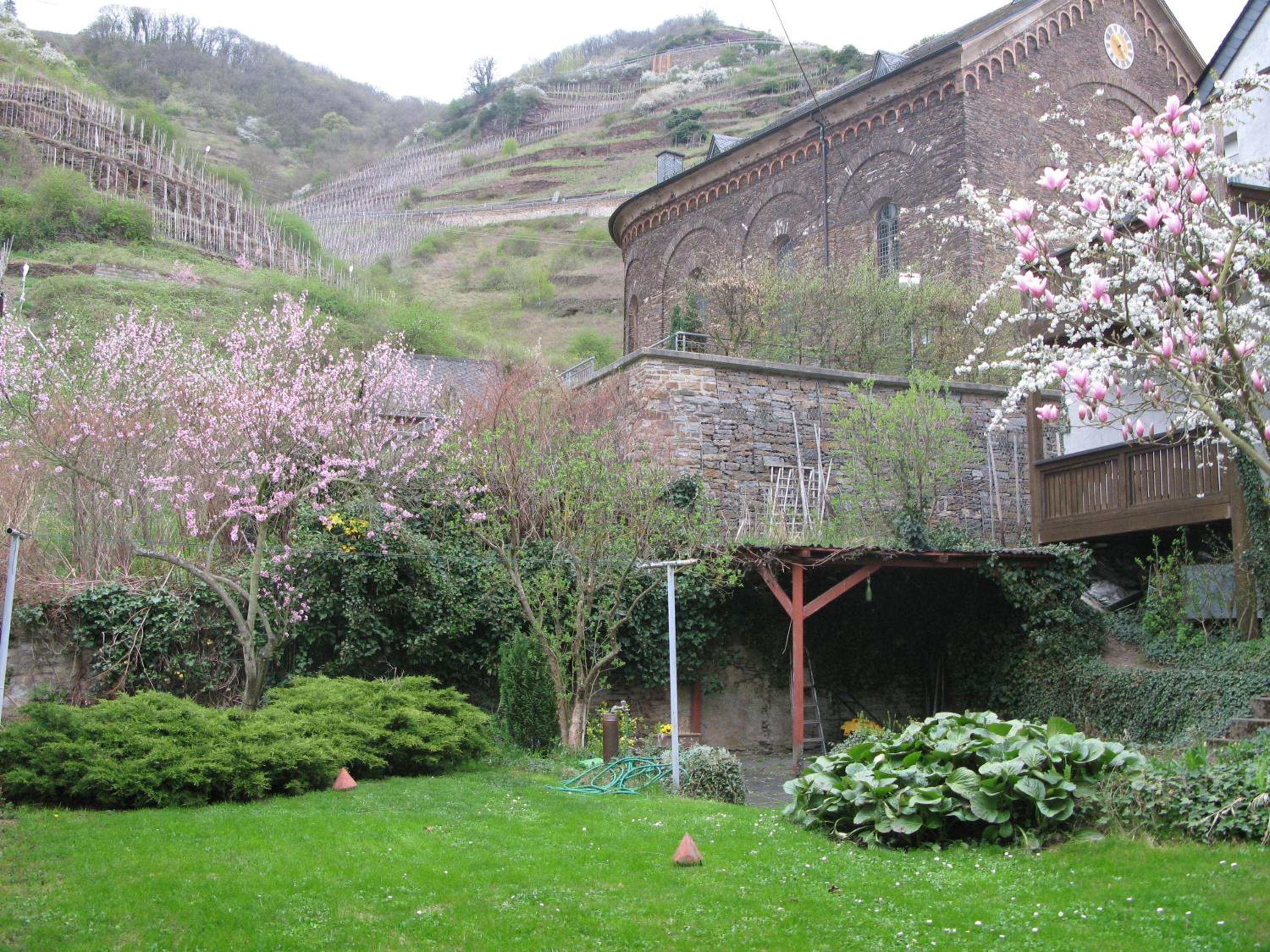 Photo 37