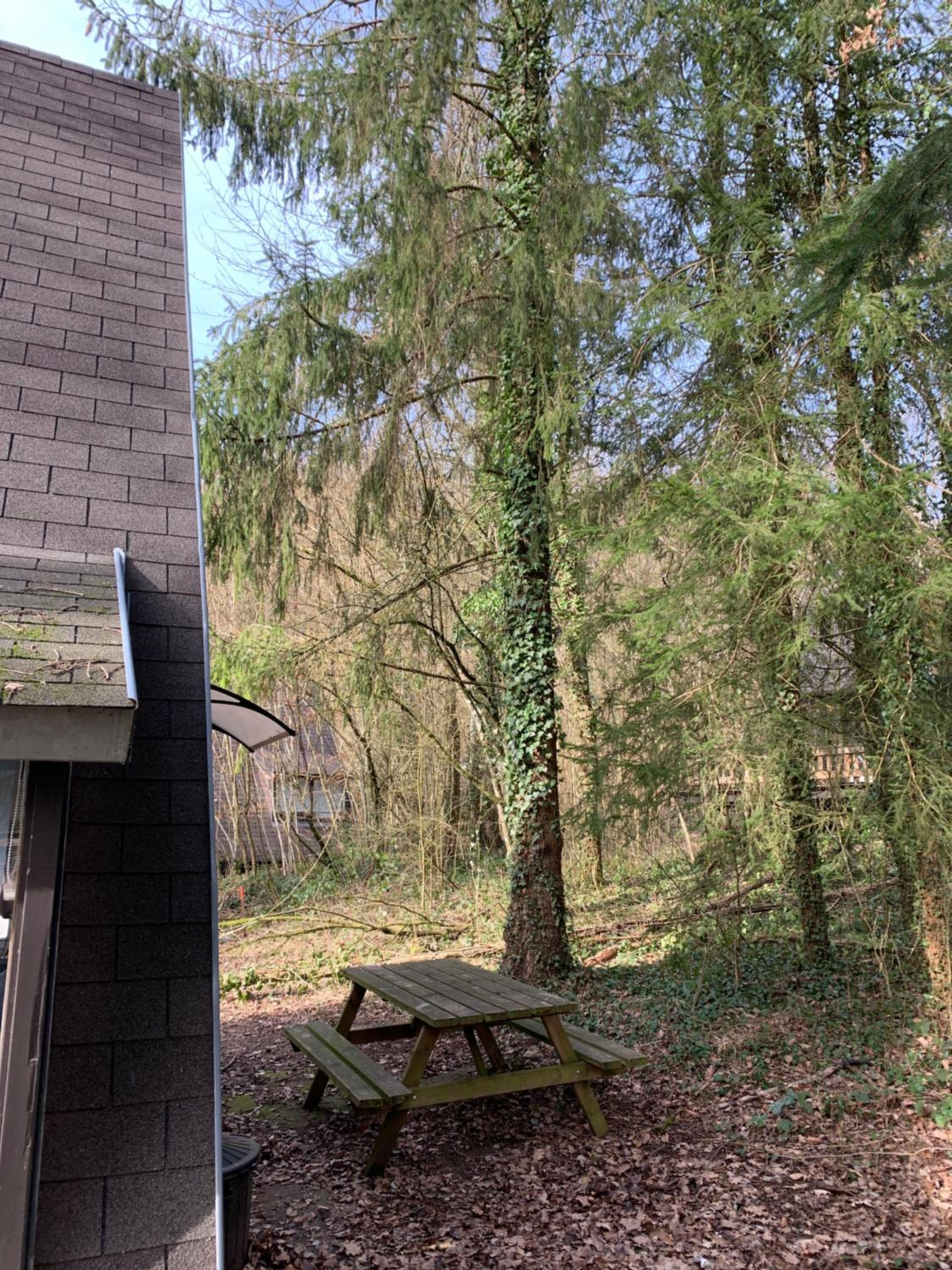 Chalet Het Hulstje 1