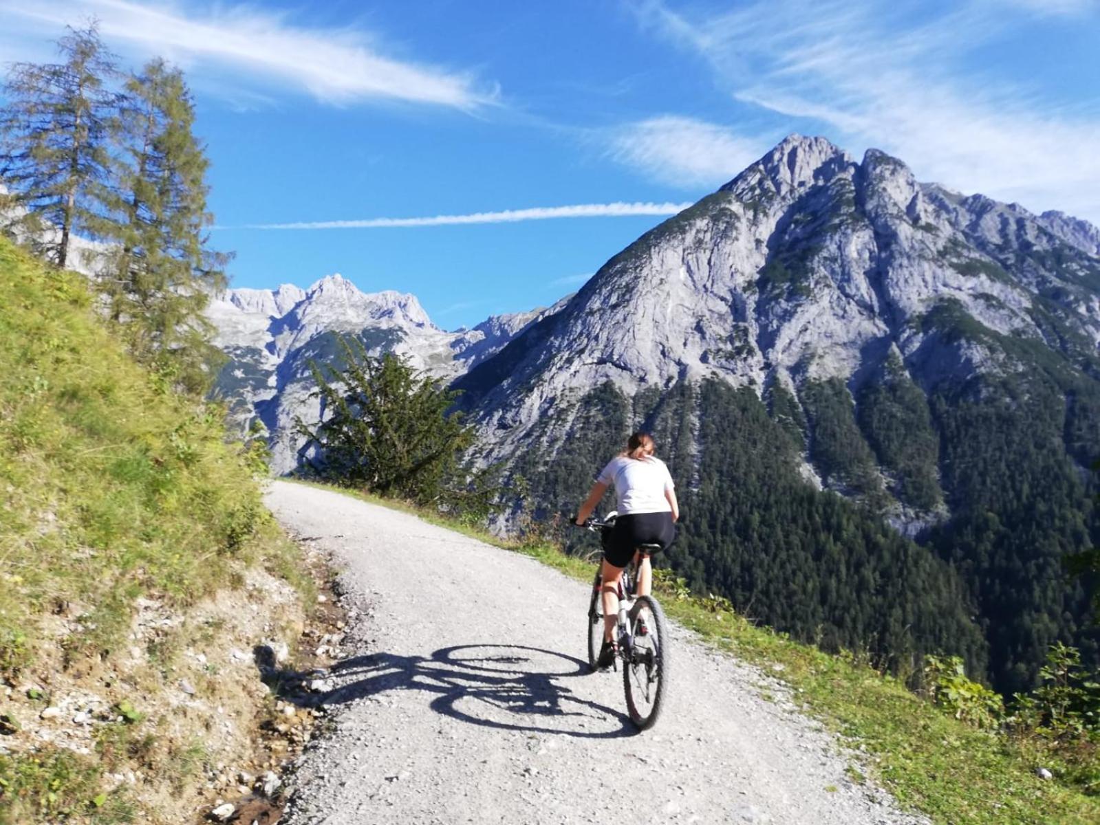 Ferienwohnungen Fichtenheim