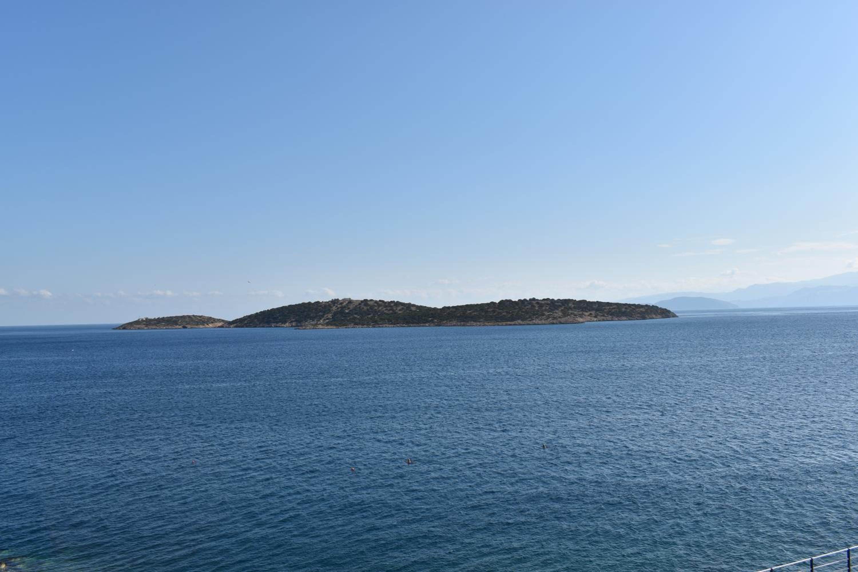 Photo 41
