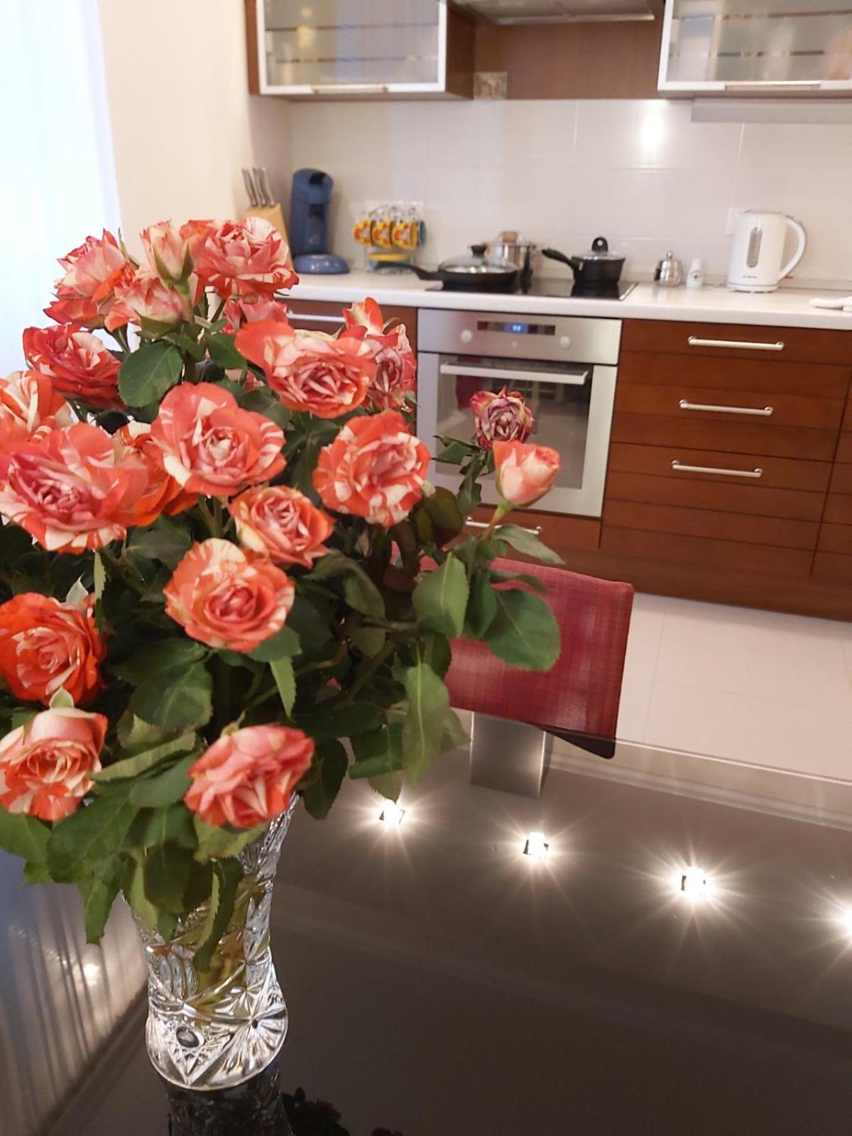 Lux Apartment, Liko Grad view 2