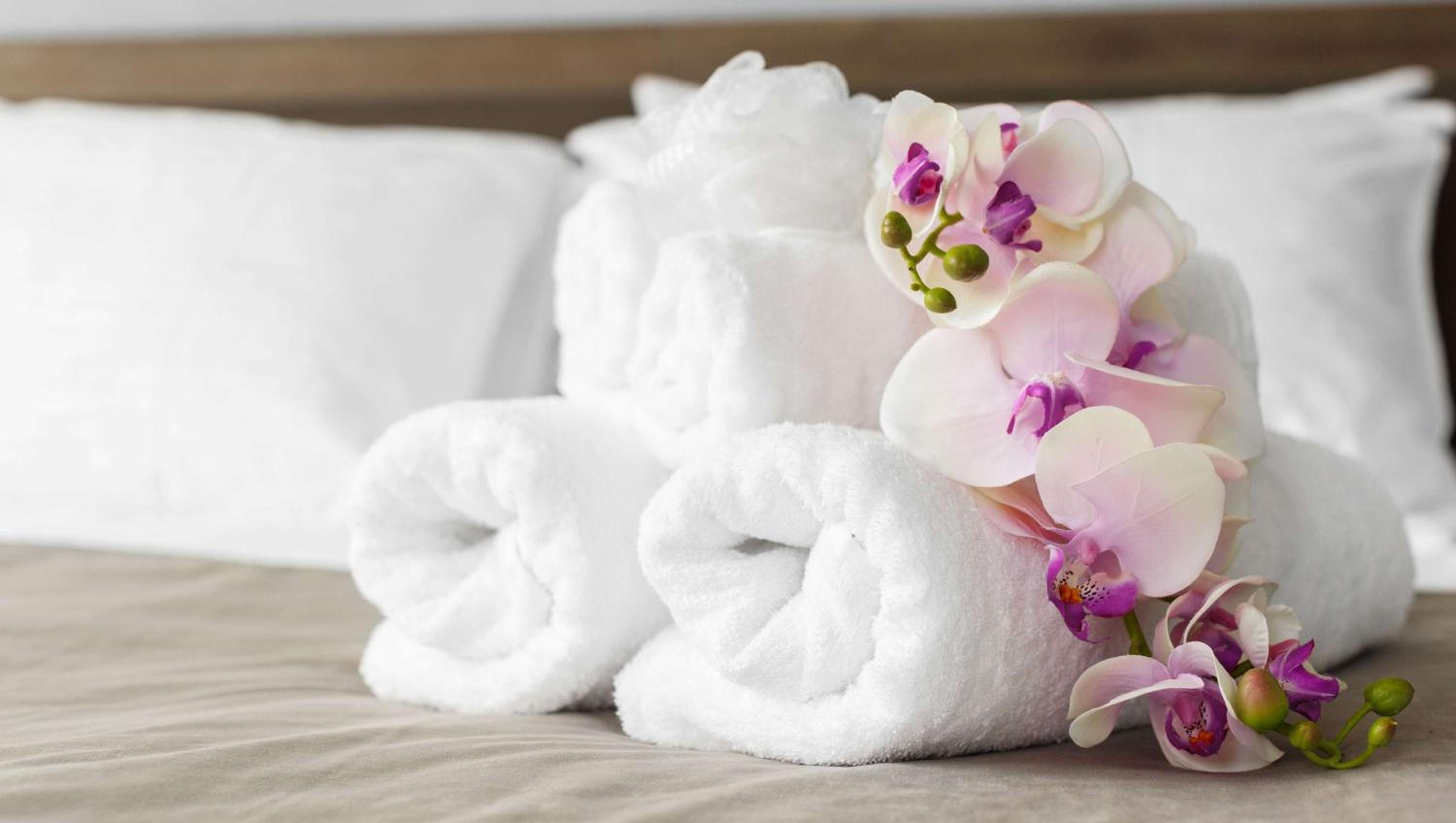 Express Inn Newport News - Property Image 2